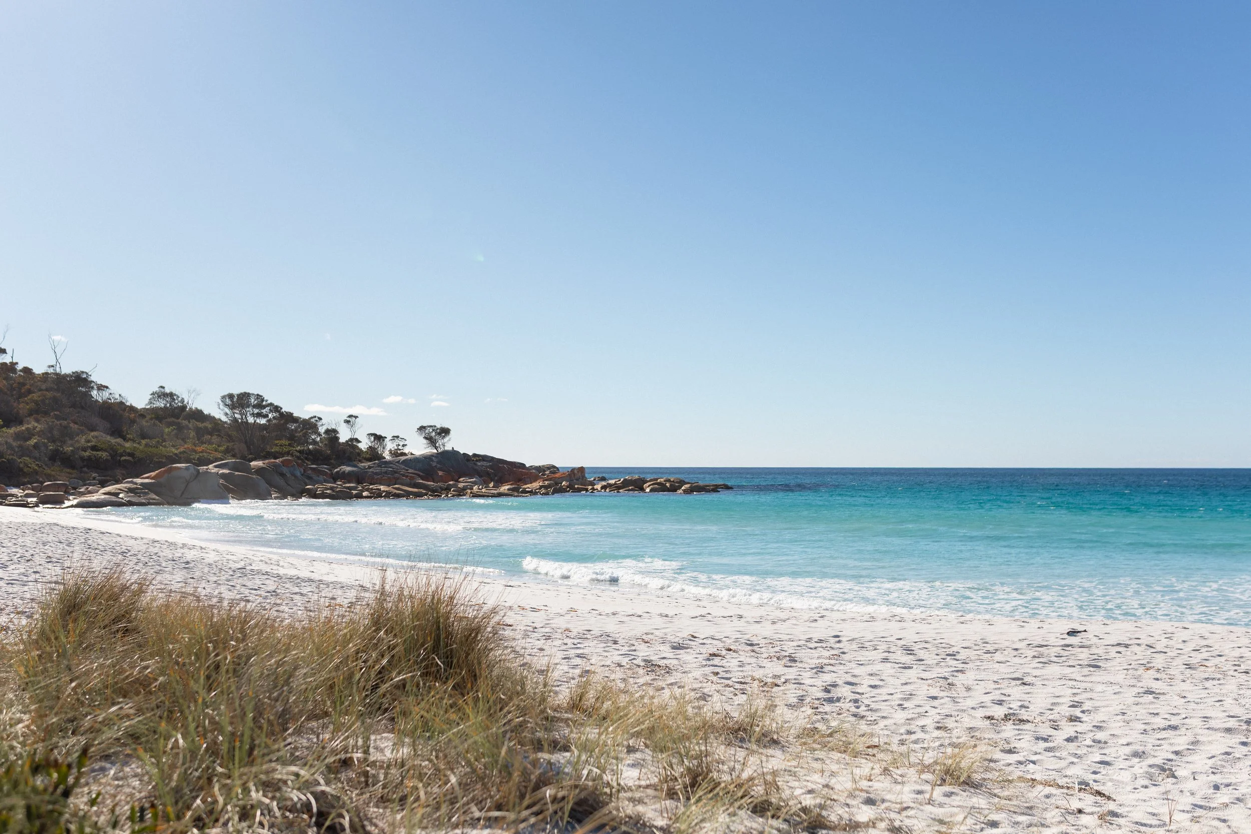 70_Lyall_Road-45.jpg