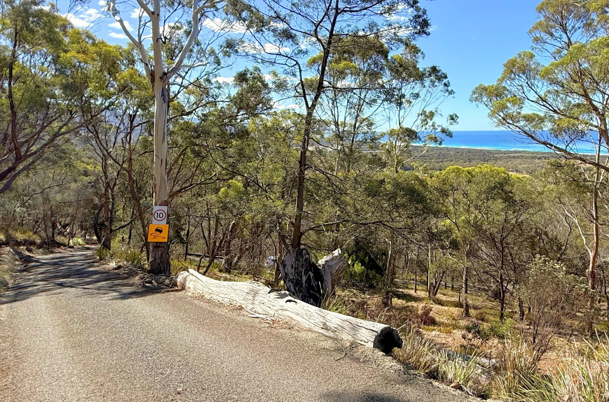 Driveway 1.jpg