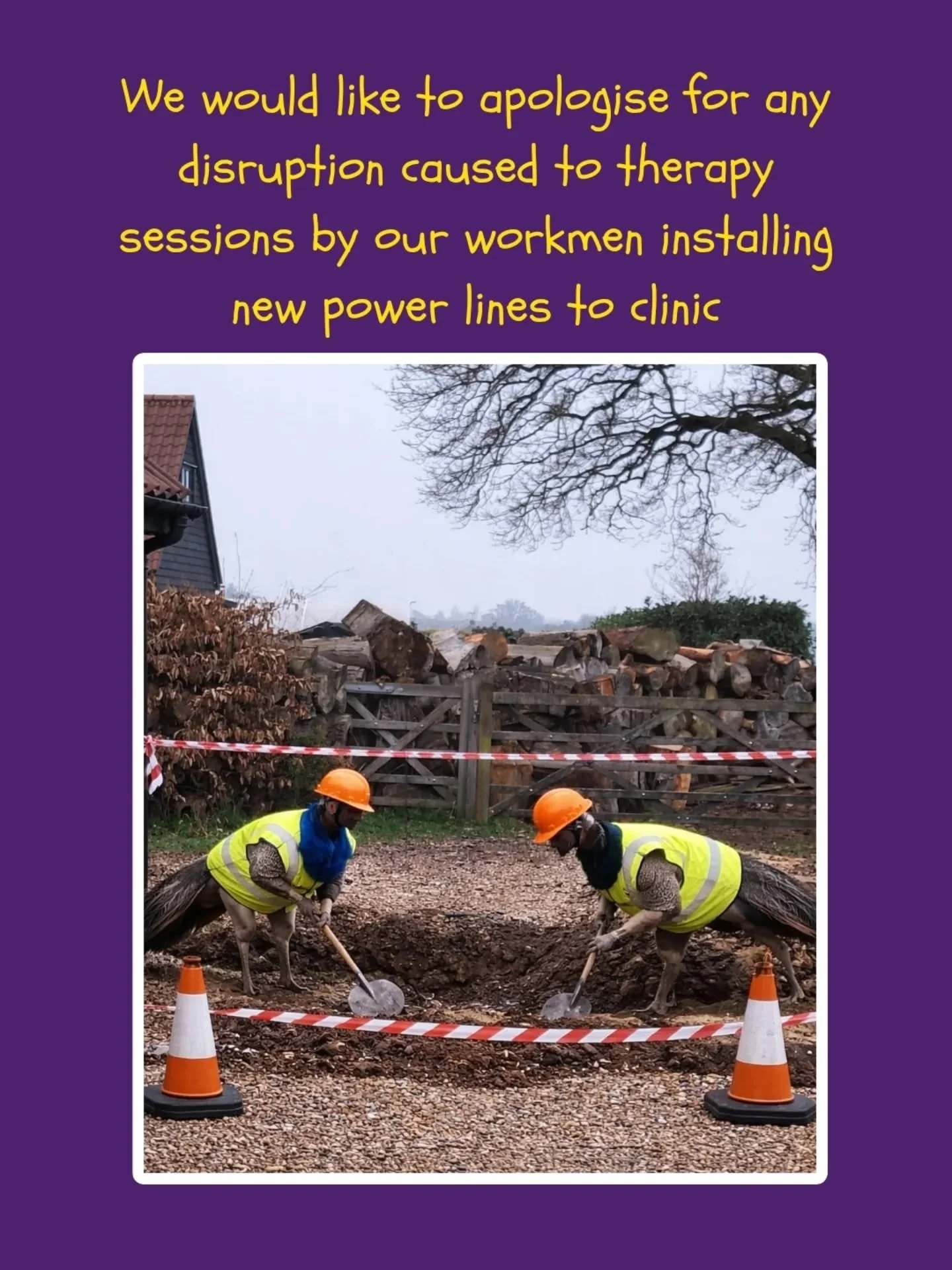 We would like to apologise for any inconvenience...

#works #therapeacocks #kidstherapyworks #peacocks