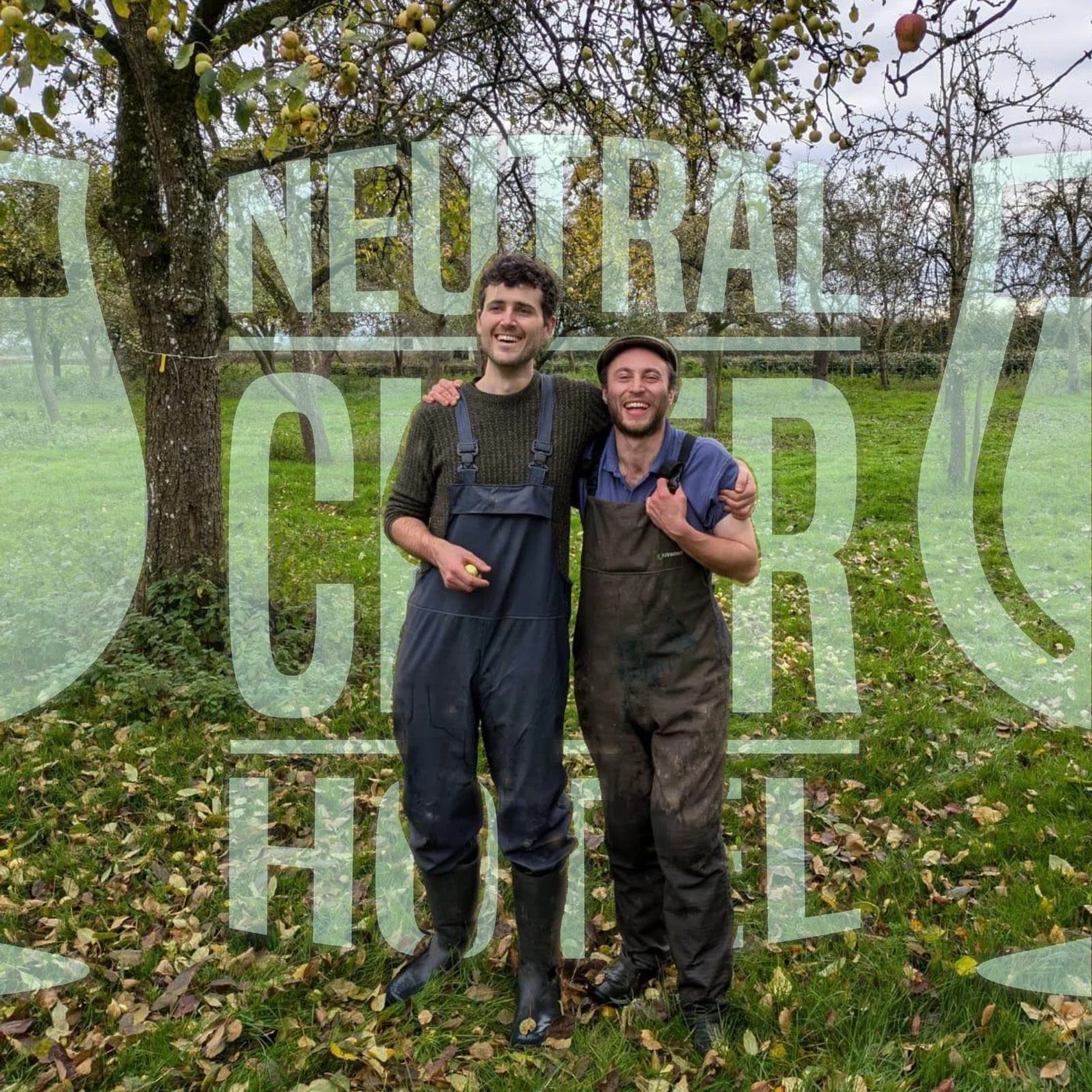 WhatsApp Image 2024-10-29 at 09.45.45.jpeg