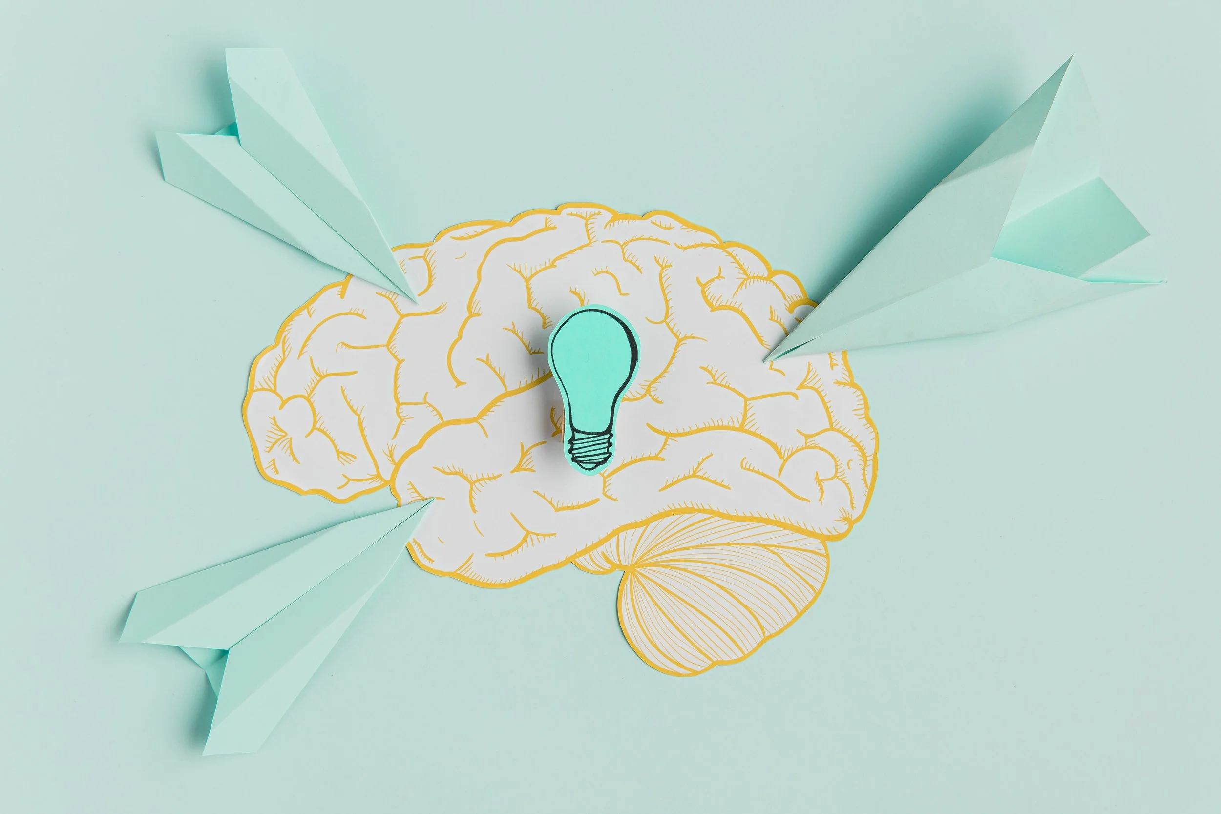 Neurofeedback : quand tout le monde utilise le même mot… mais pas le même dictionnaire