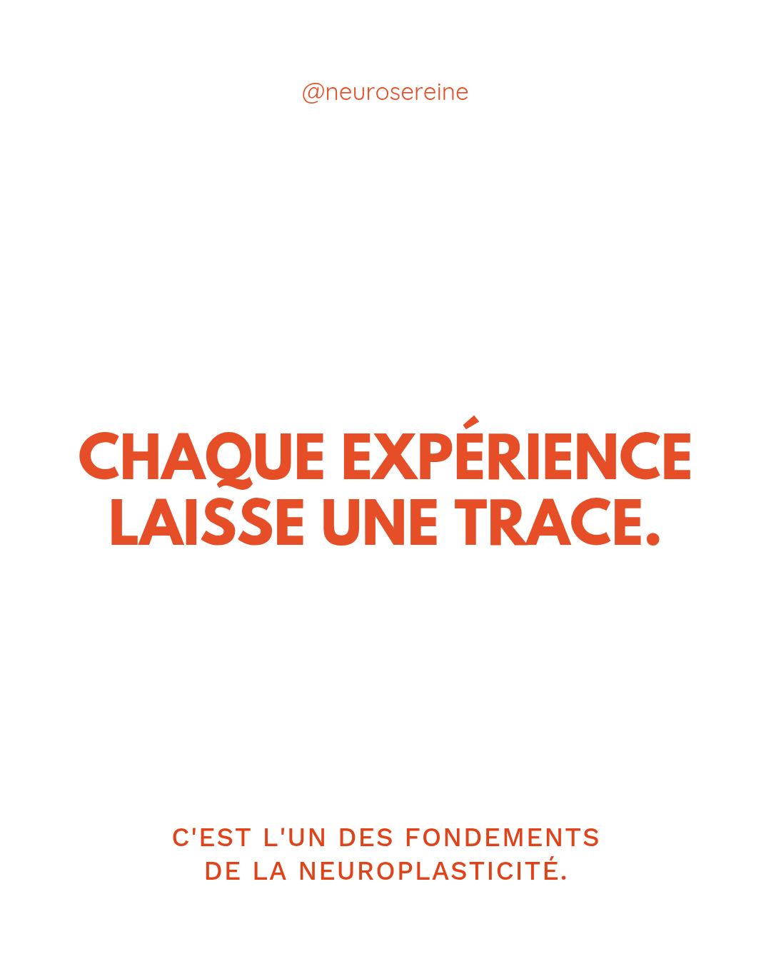 Le pouvoir de l'expérience