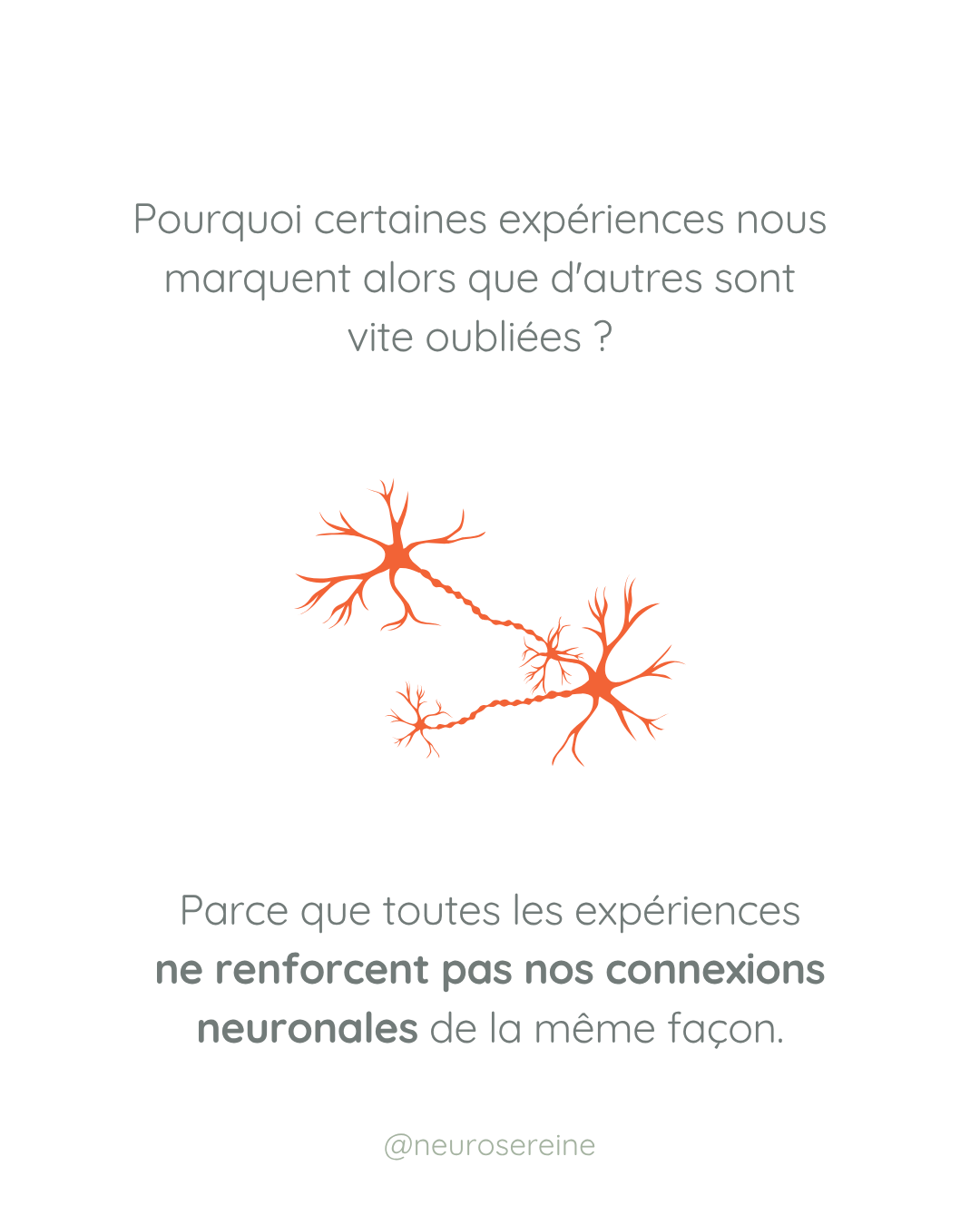 neurosfeedback-lyon (3).png