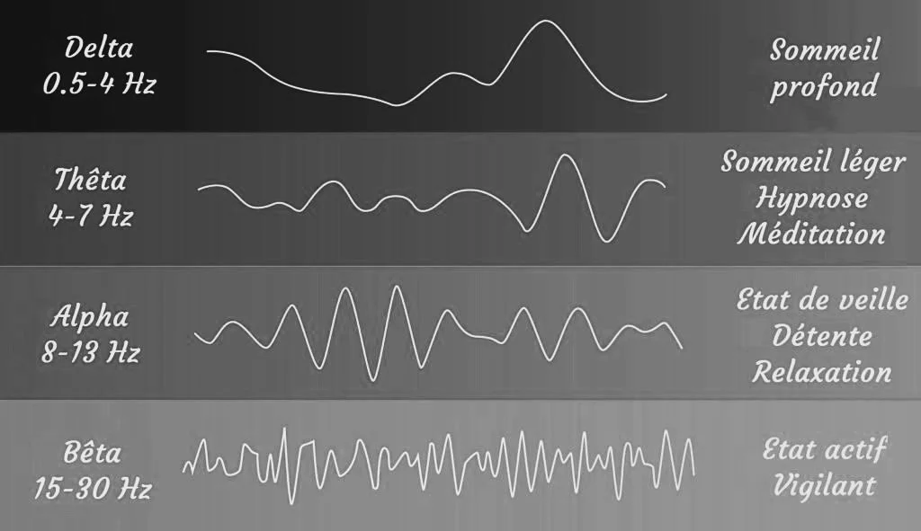 Diagramme montrant différents types d'ondes cérébrales avec leurs fréquences et états associés : Delta (0,5-4 Hz) pour sommeil profond, Thêta (4-7 Hz) pour sommeil léger, hypnose, méditation, Alpha (8-13 Hz) pour état de veille, détente, relaxation, et Bêta (15-30 Hz) pour état actif, vigilant.