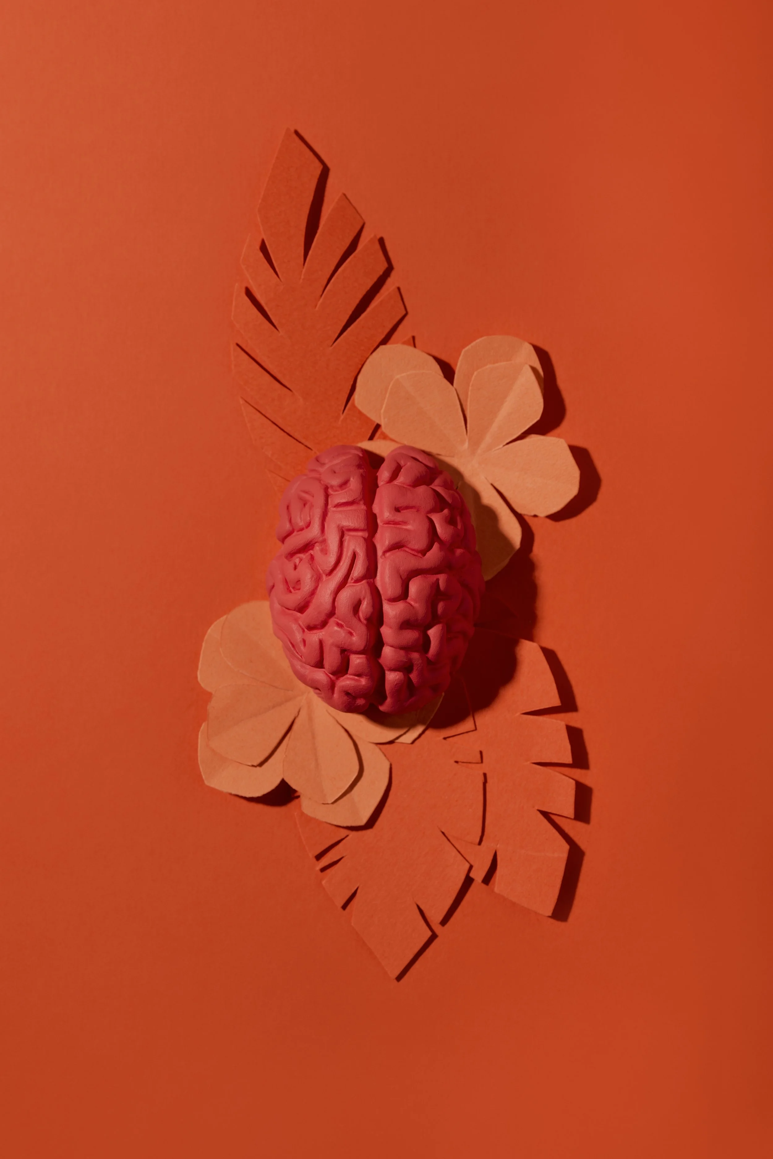 Neurofeedback : un seul mot pour plusieurs réalités