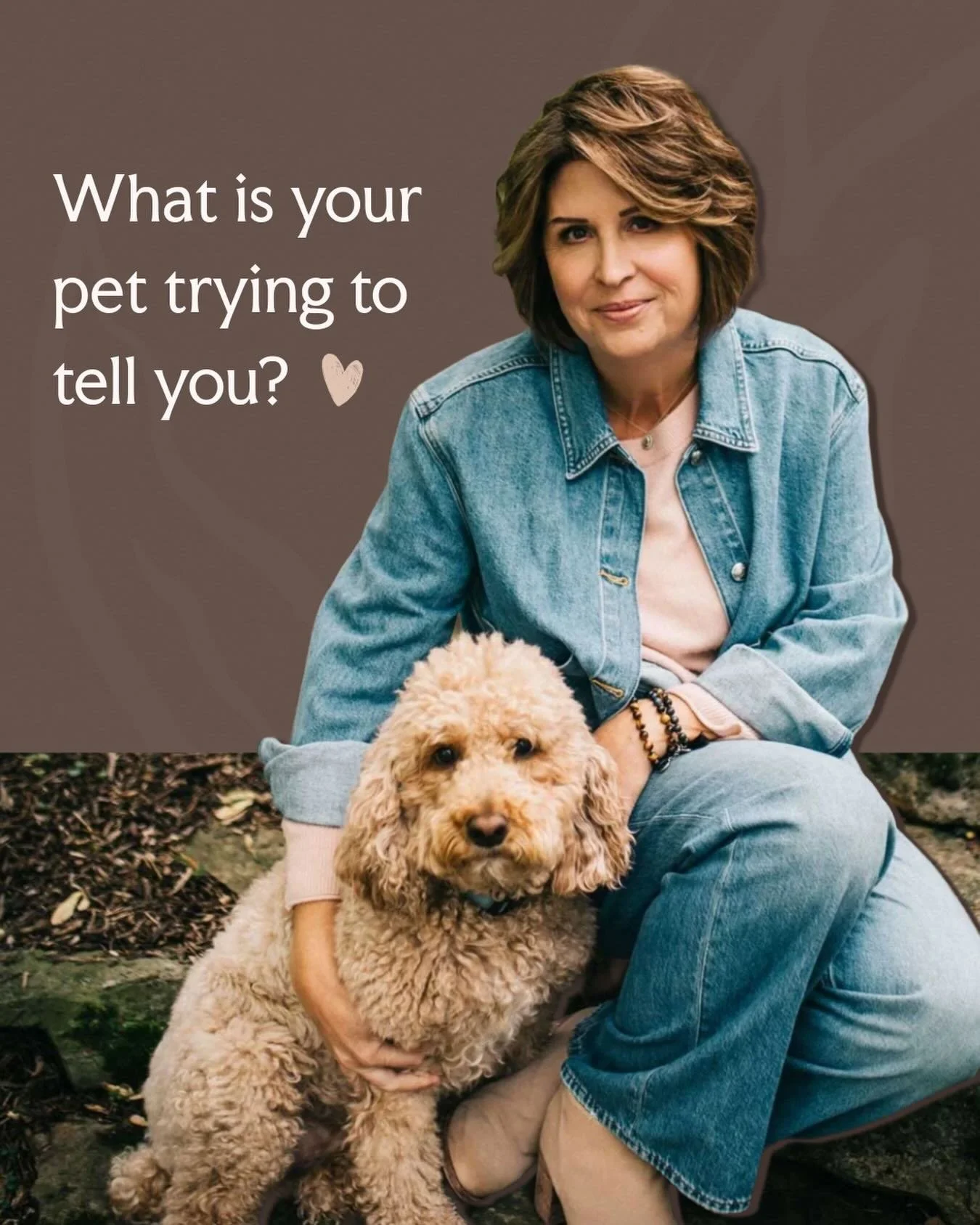 Our animals try to communicate with us. They nudge us, bark, potty where they shouldn&rsquo;t, run down to the neighbors house or just sweetly cuddle. You can ask your animal what they need. Quiet your mind. Ask them a question and pay attention to t