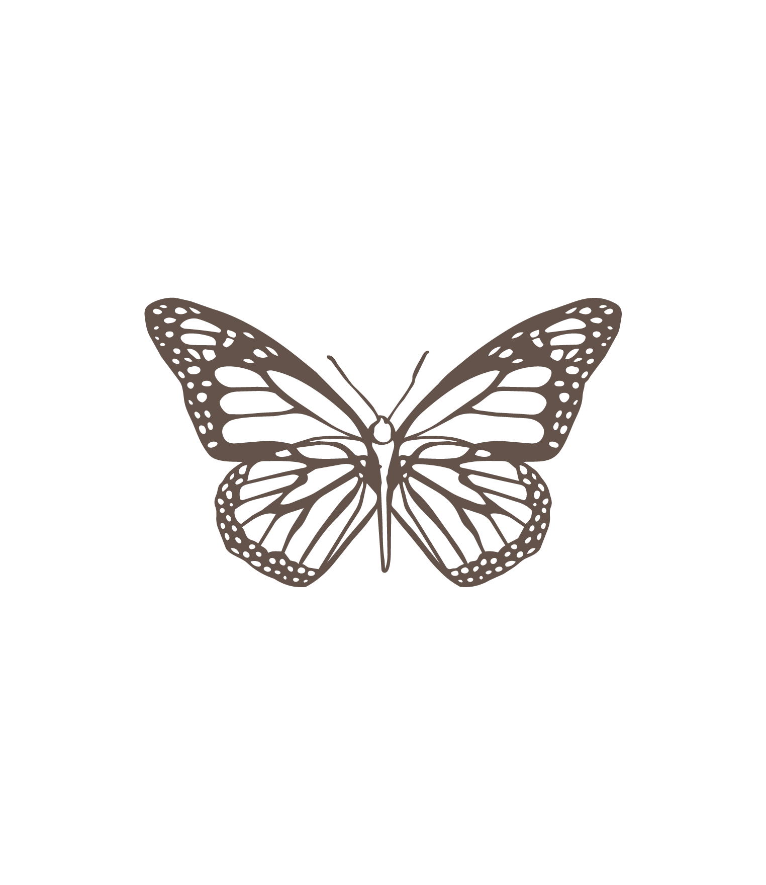 Black outline drawing of a butterfly with detailed wing patterns.