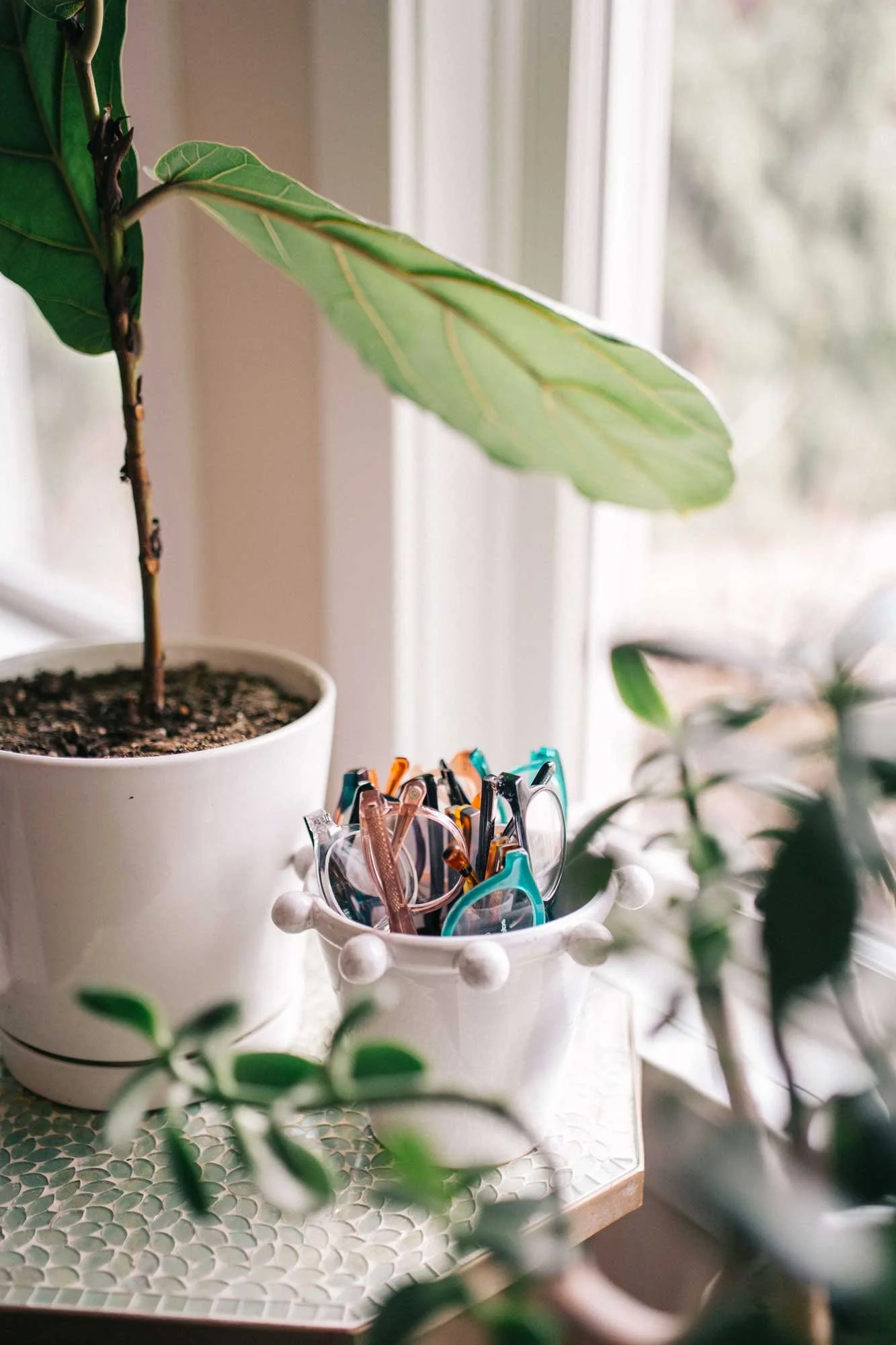A potted plant with green leaves on a windowsill. Next to it, three containers hold colorful eyewear, with some plants and blurred background.