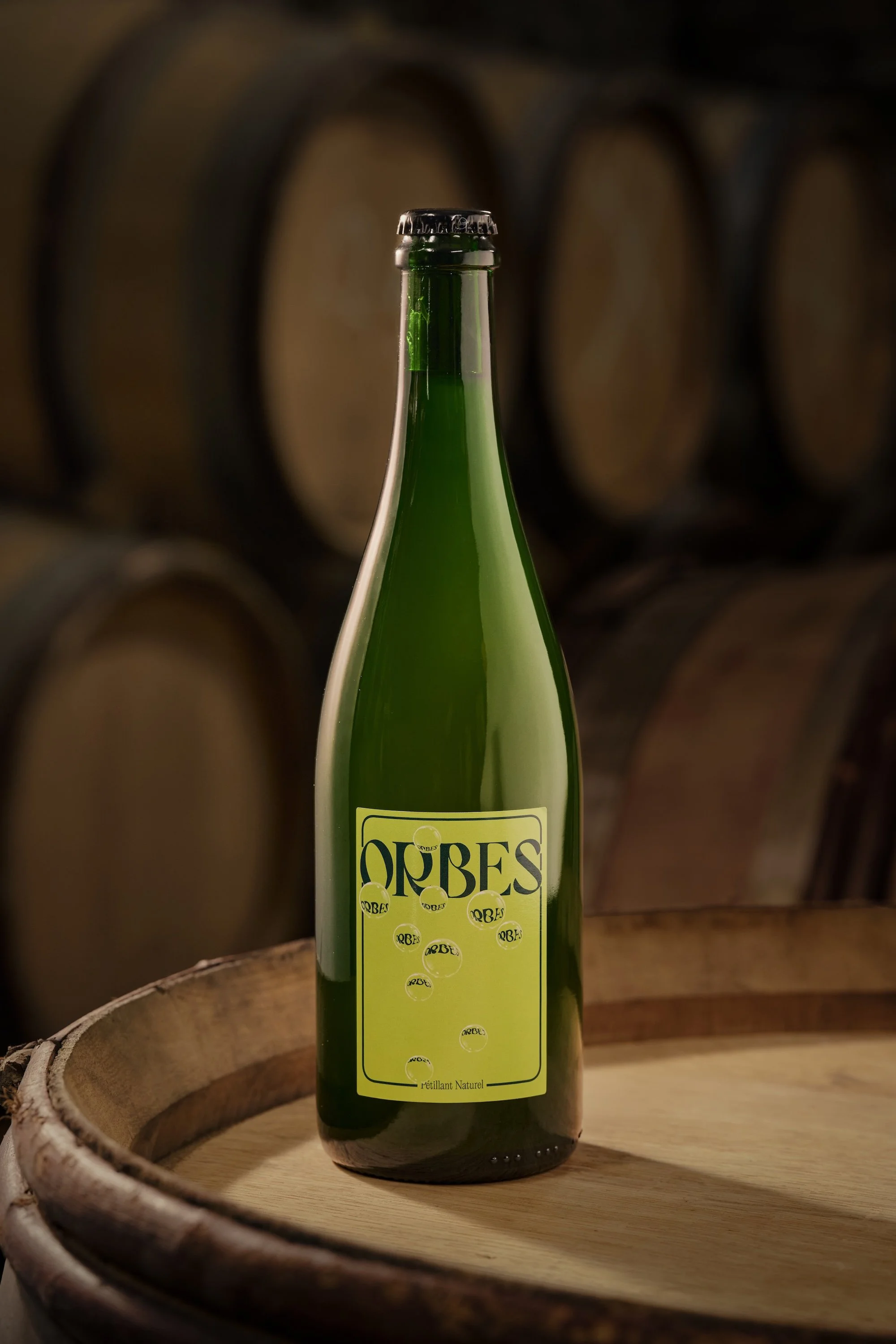 Orbes 2025 Website.jpeg