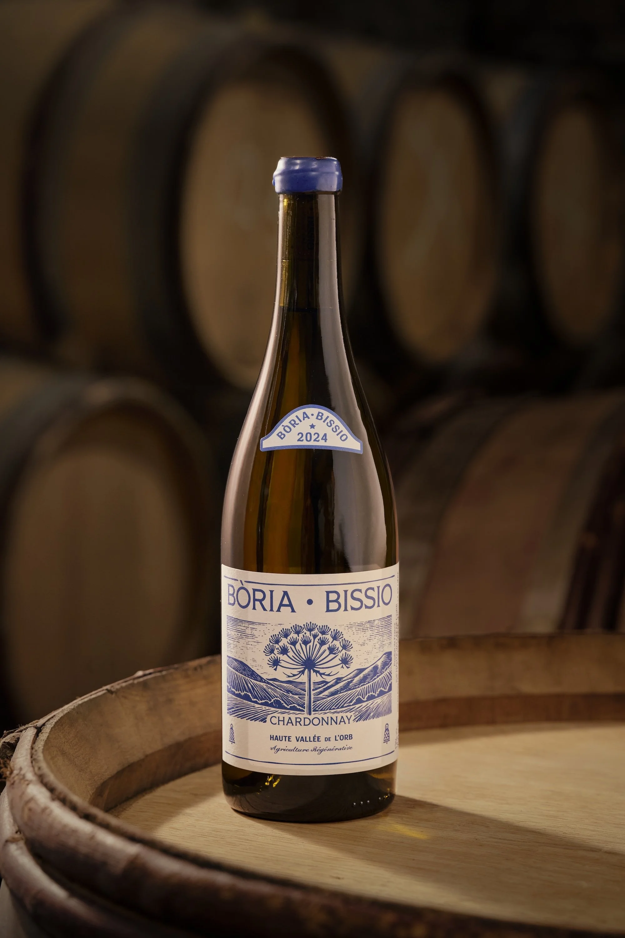 Schiste 2024 website.jpeg