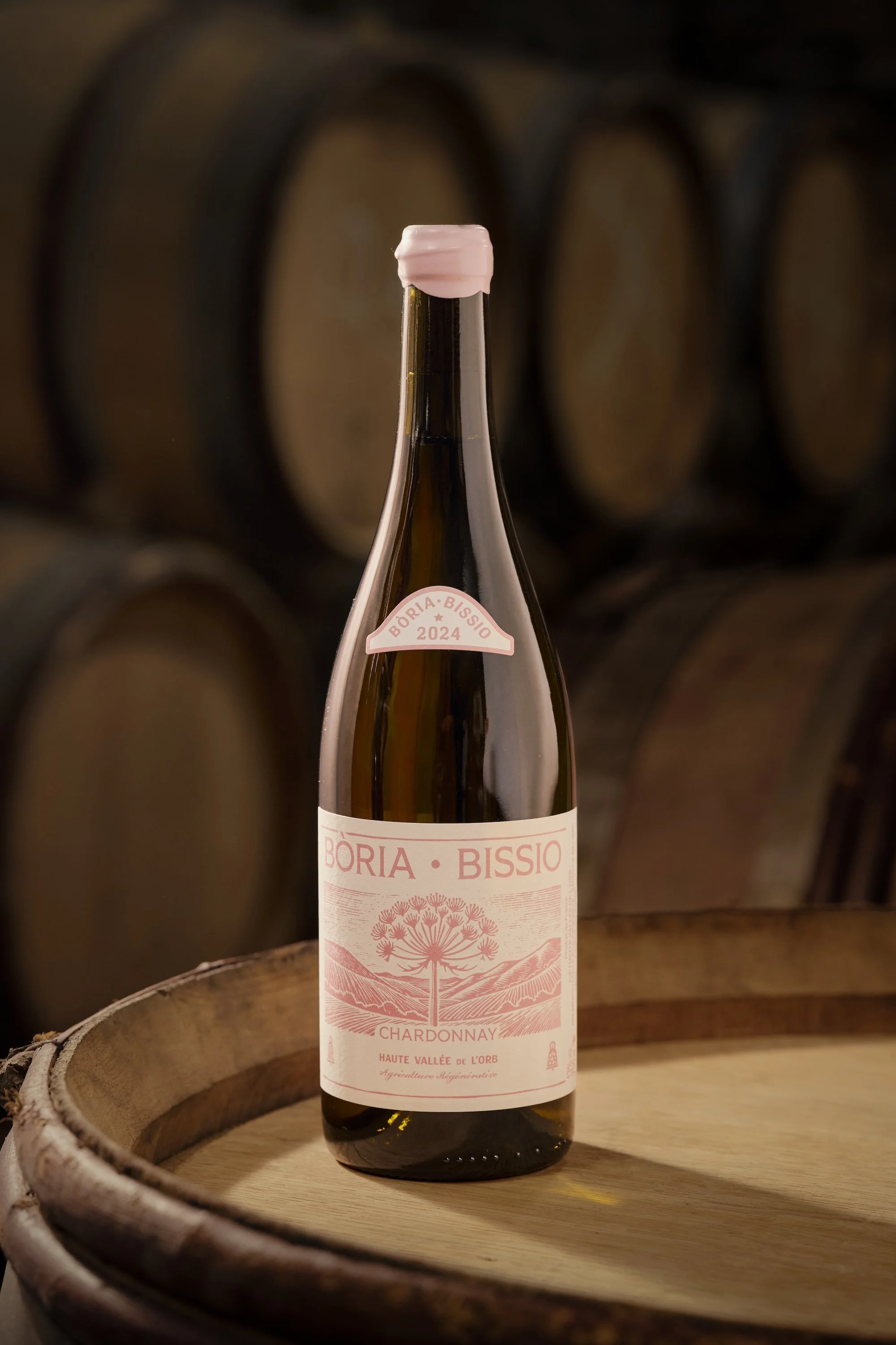 Calcaire 2024 Website.jpeg