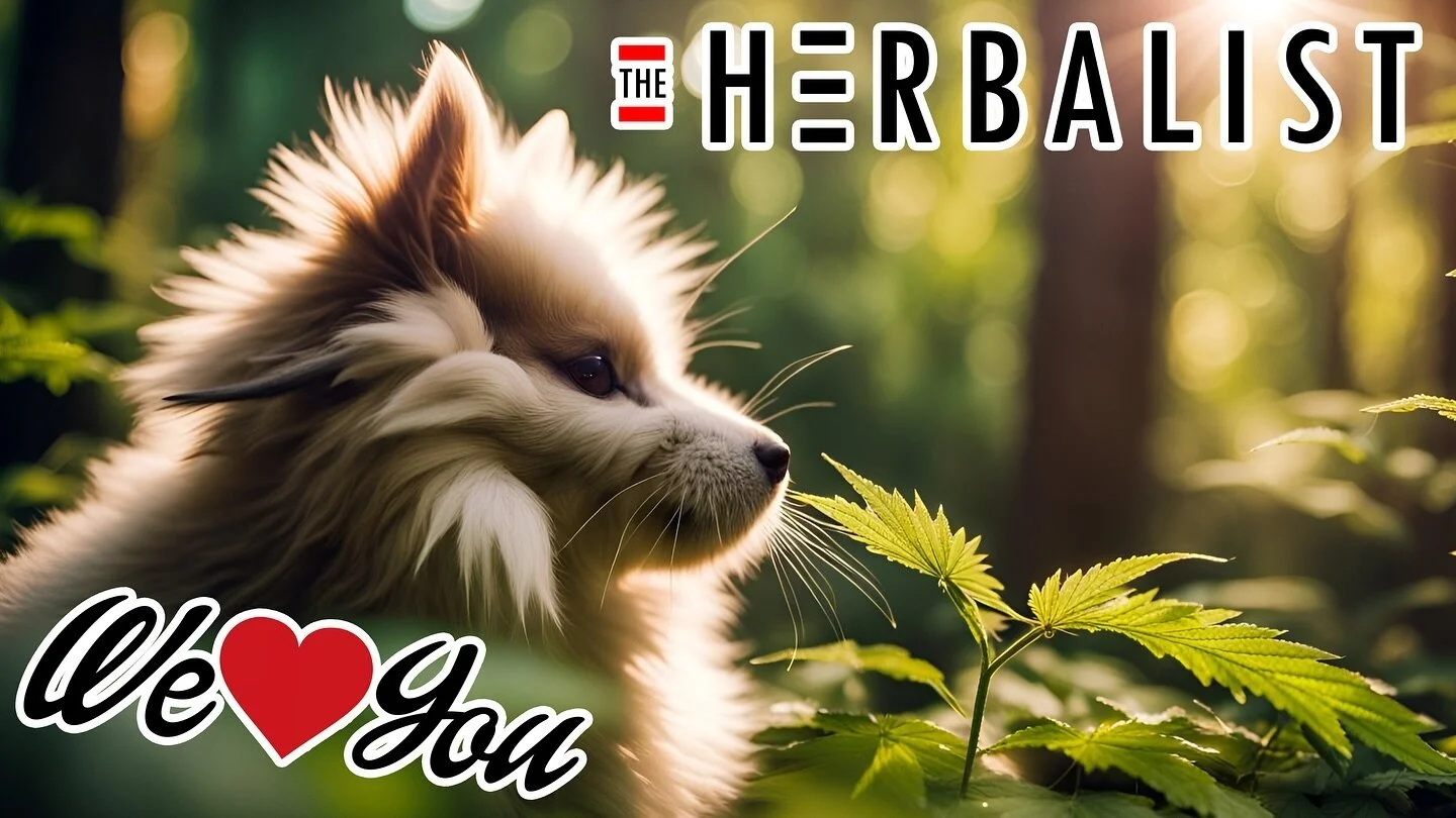 The Herbalist Detroit