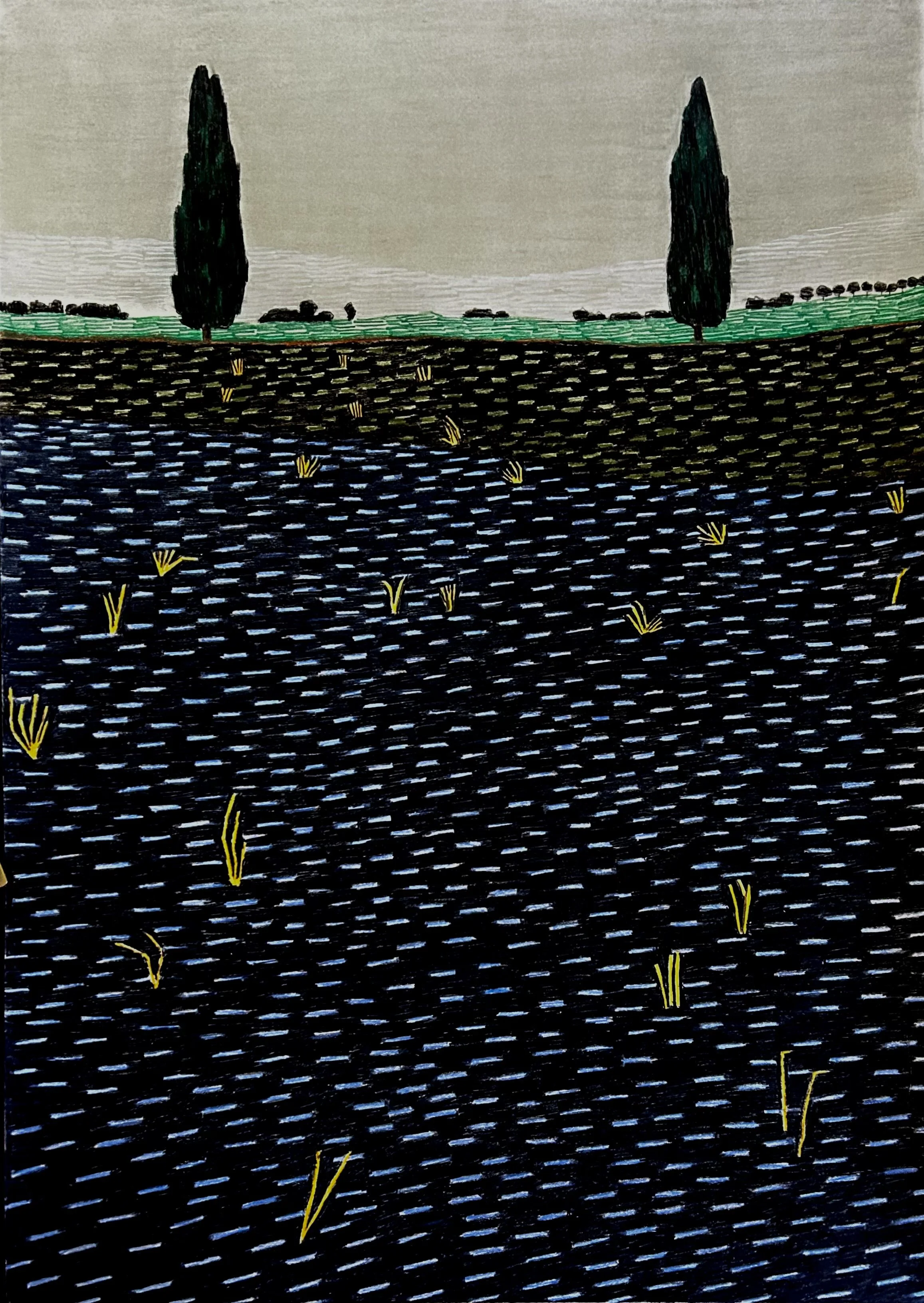 Two cypresses along the river, 2024