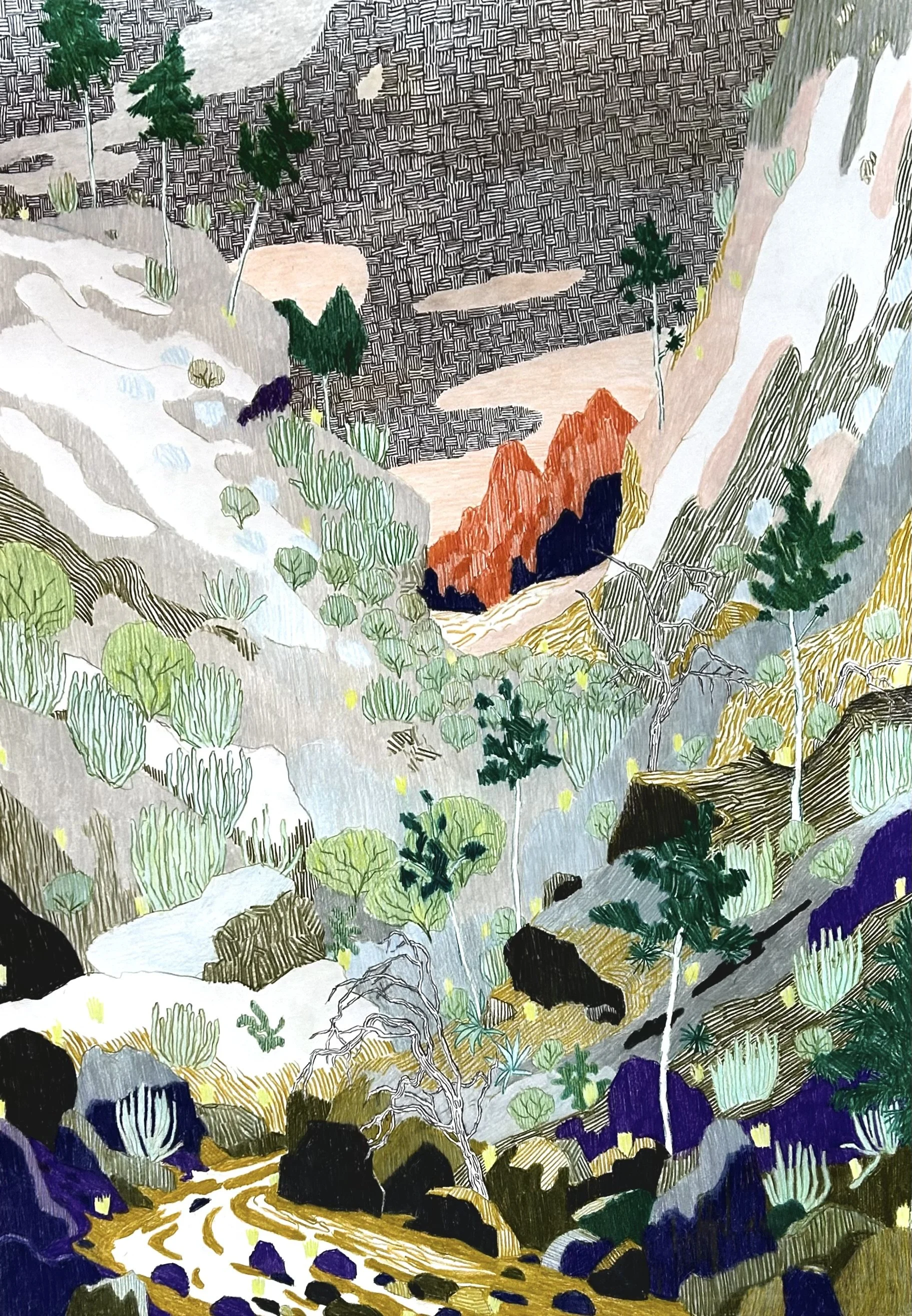 Path in the Mountains, 2024