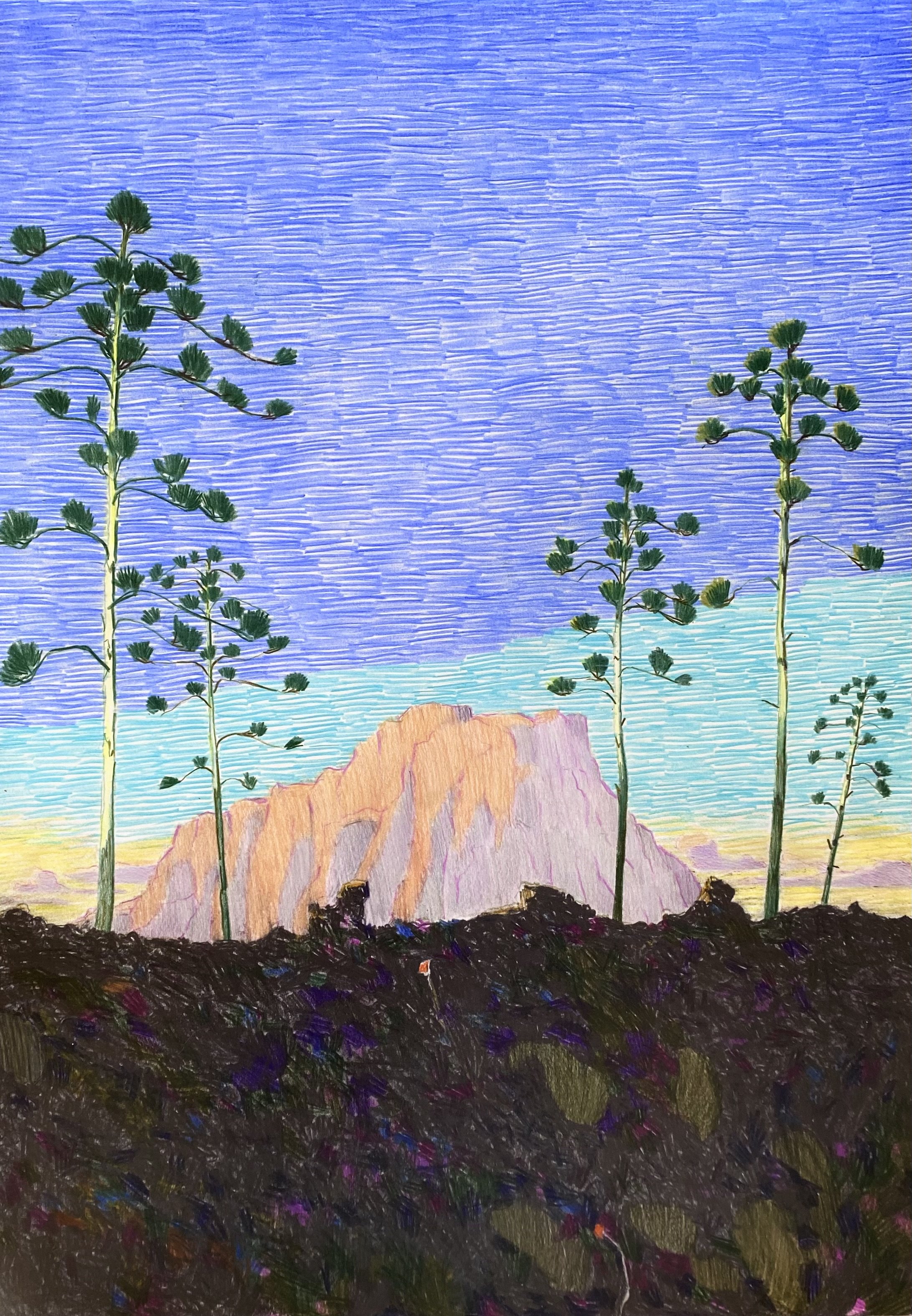Volcanic landscape at sunset and two red flowers in the dark, 2023.jpg