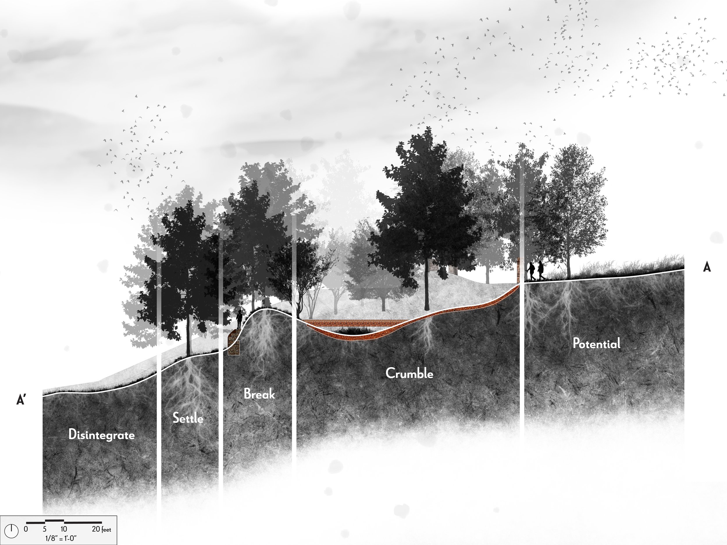 Section w_label-01.jpg