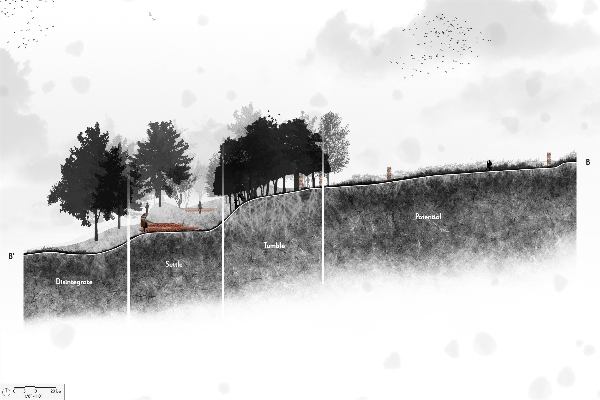 Section w_label-02.jpg