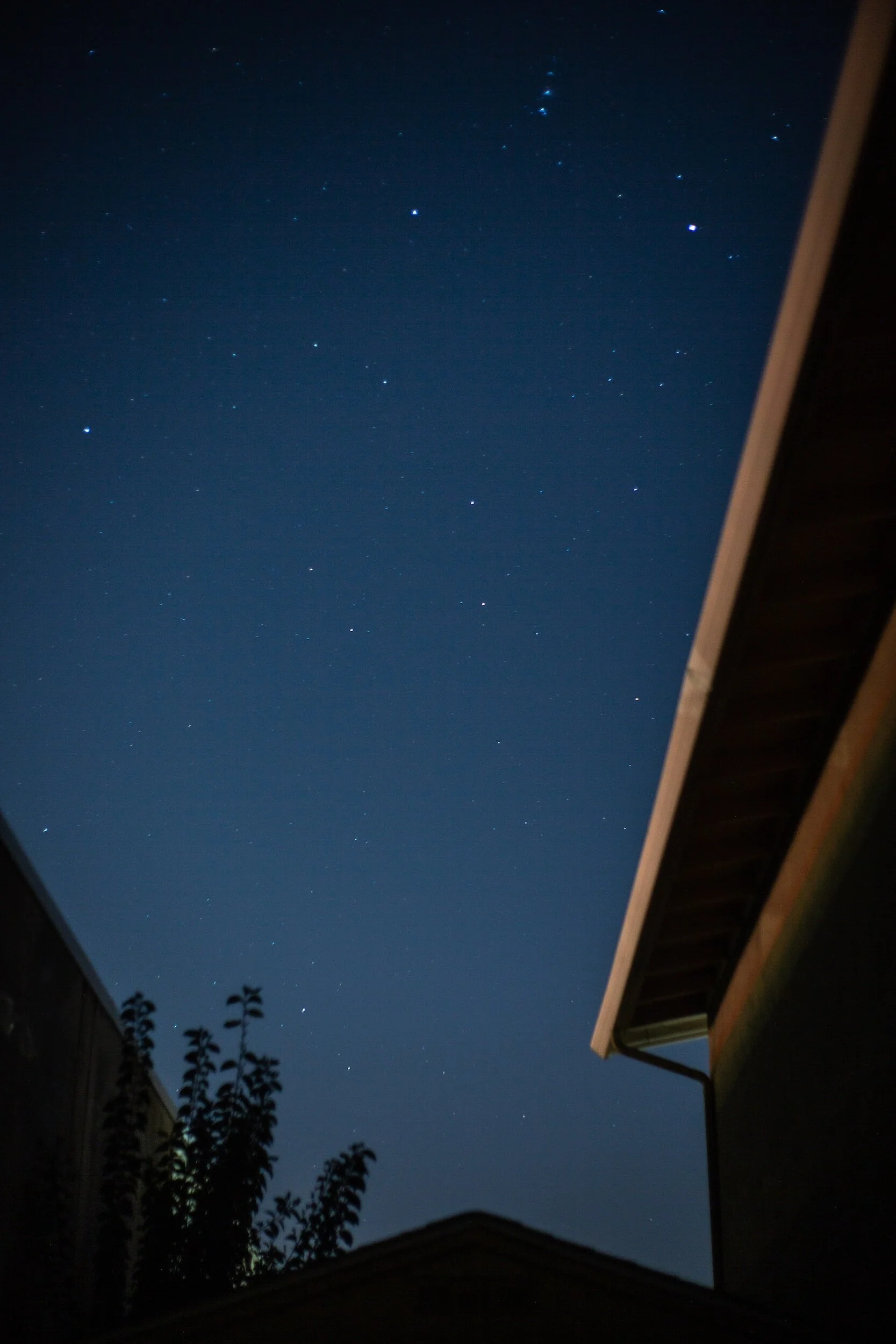 Night sky filled with stars, viewed from between the rooftops of houses with trees in the foreground.