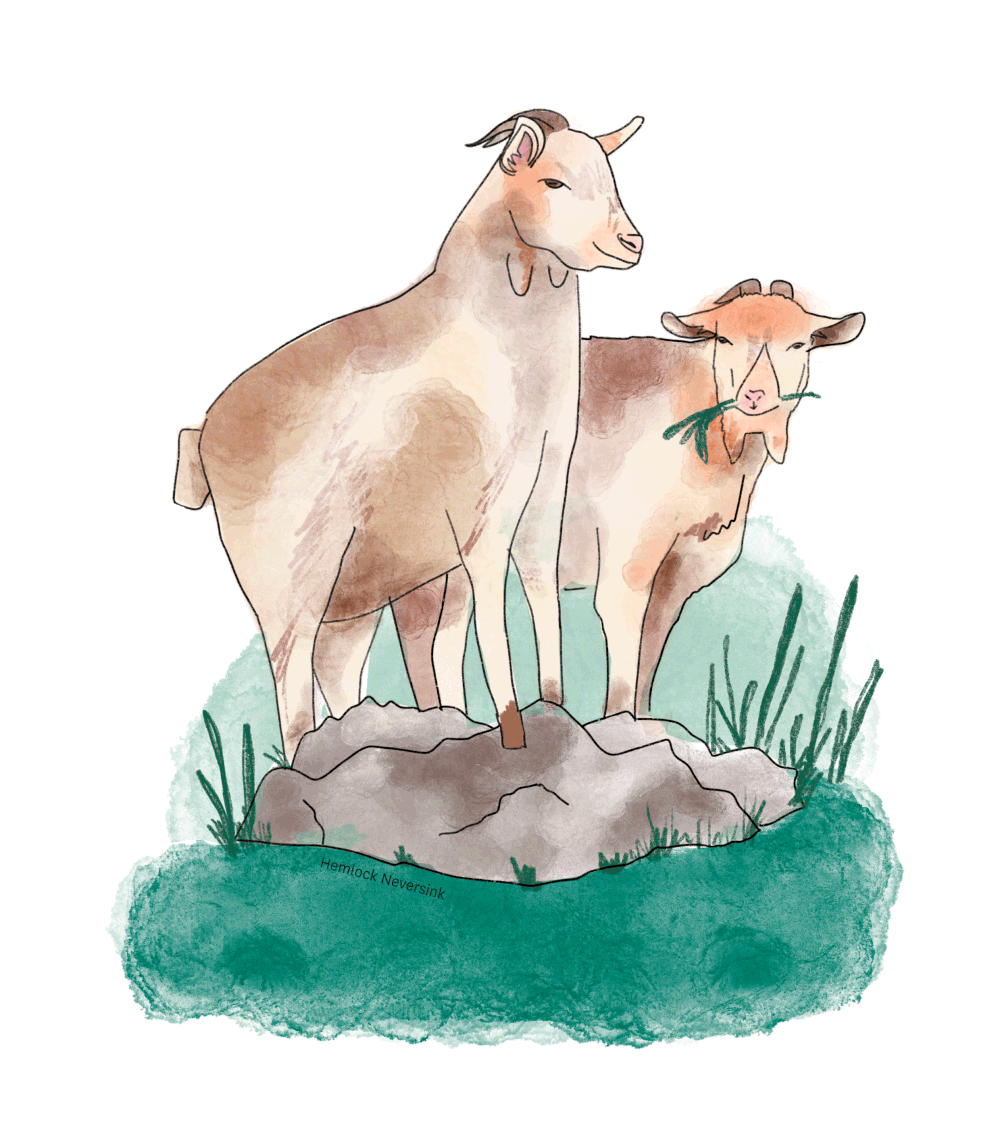 Hemlock Neversink Wellness Hotel And Spa In Catskills hemlock-neversink-wellness-hotel-and-spa-in-catskills