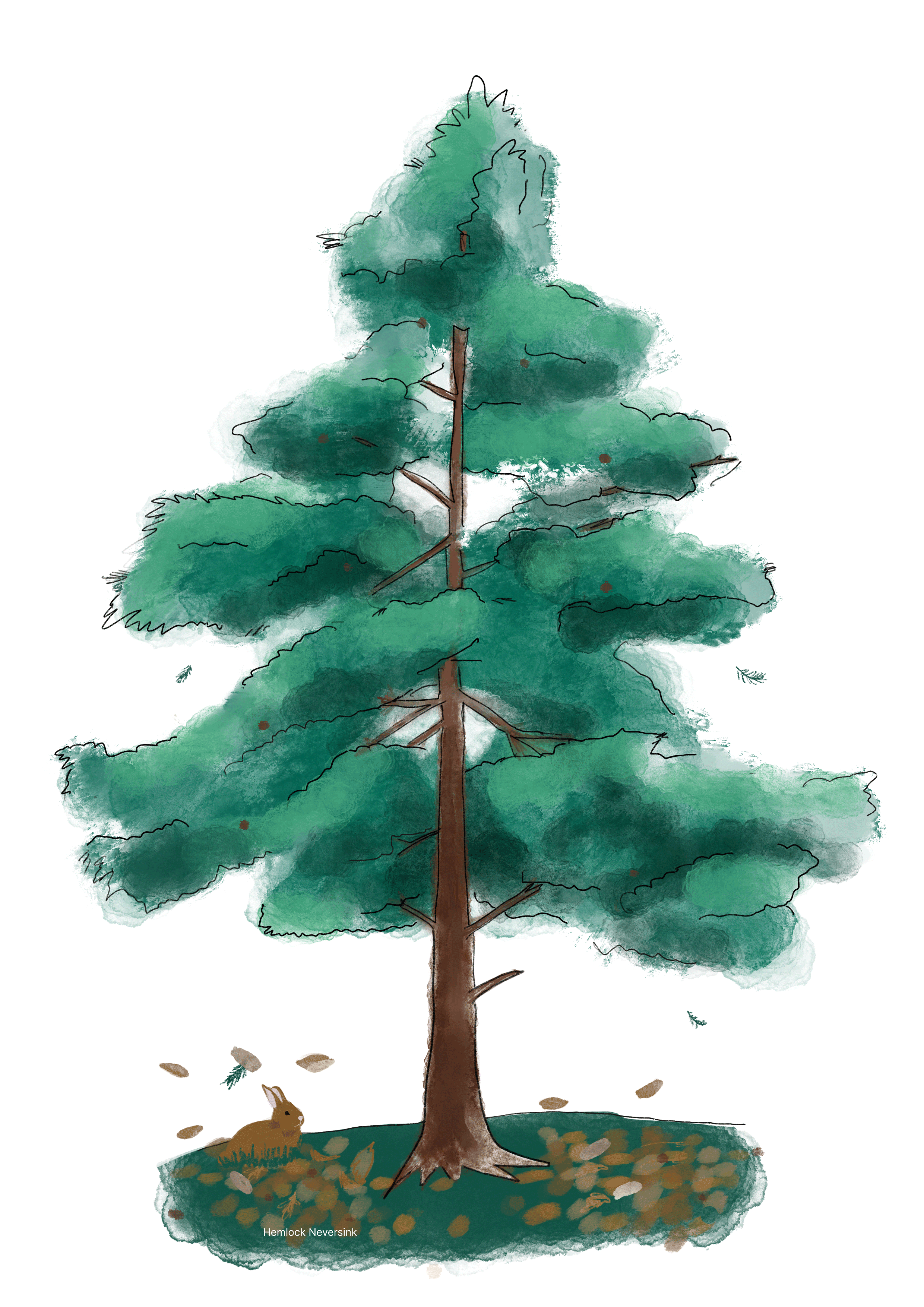 Hotel And Spa Day Near Me Hotel And Spa Day Near Me