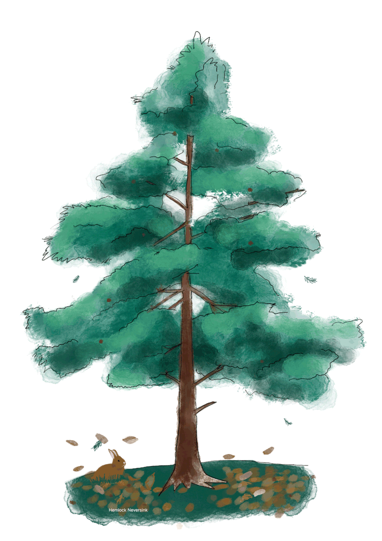 Hotel And Spa Day Near Me