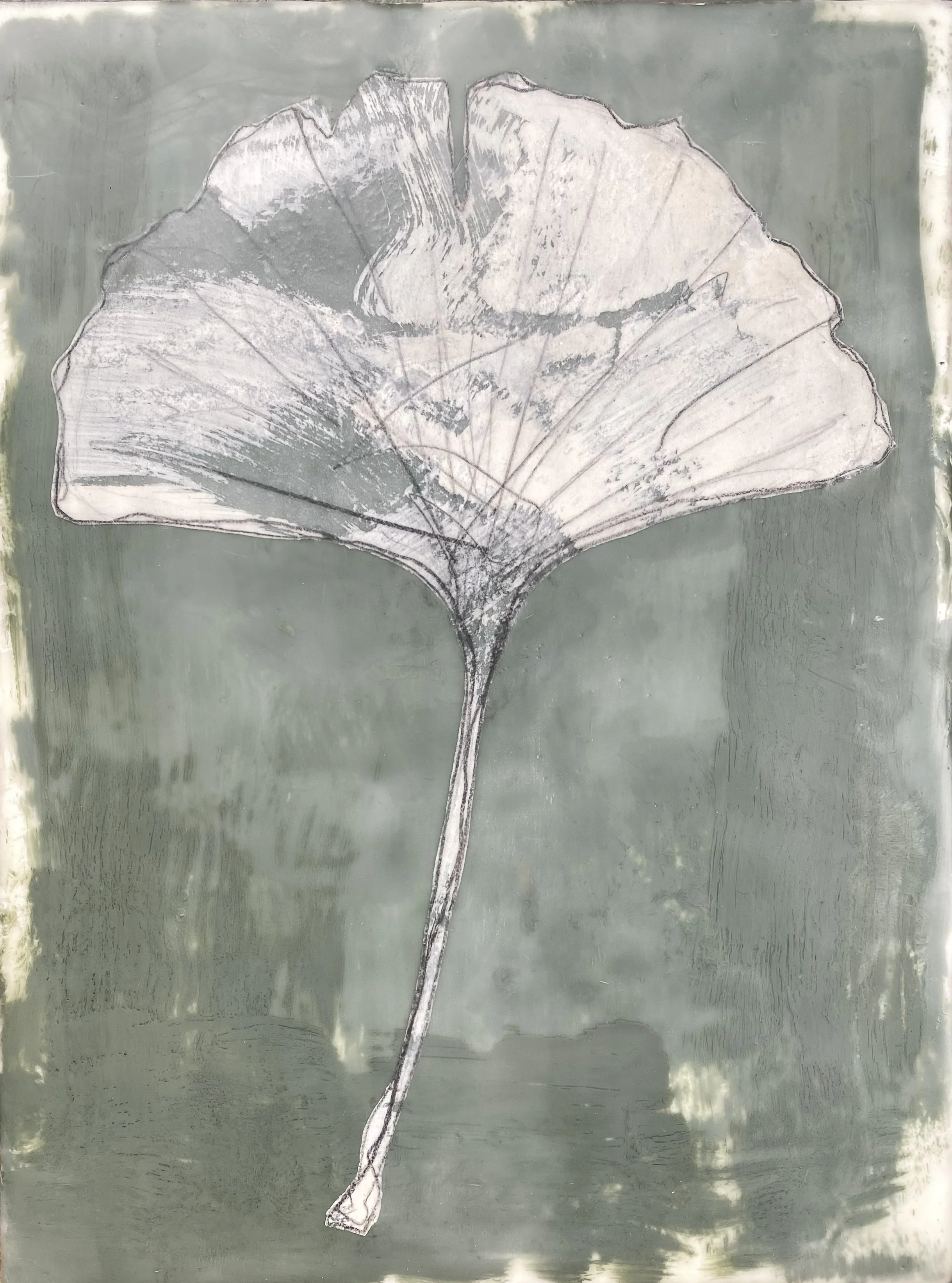 Amy Vander Els-Unity of Opposites [Ginkgo].jpg