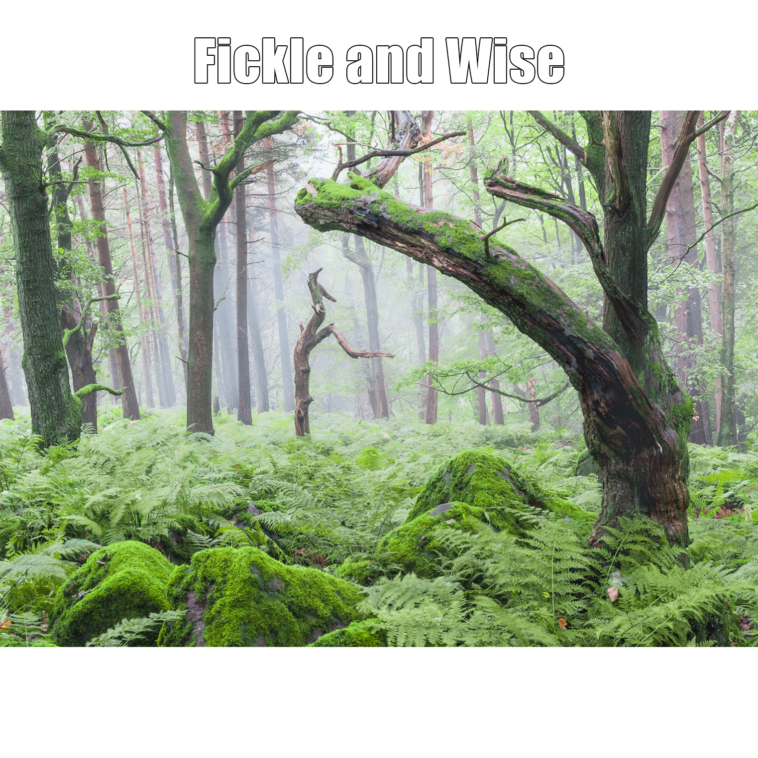 Fickle and Wise Proof Print.png