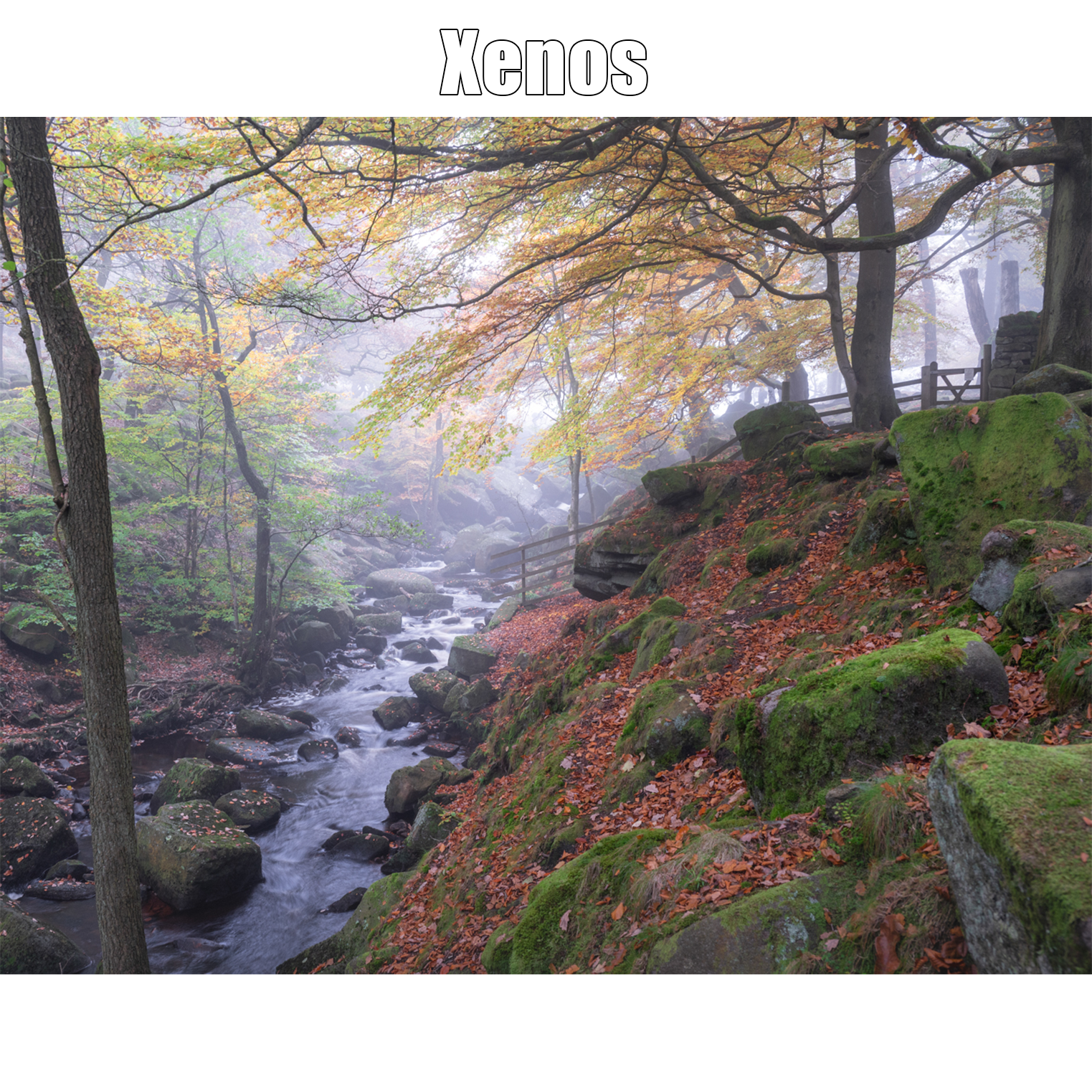 Xenos.png