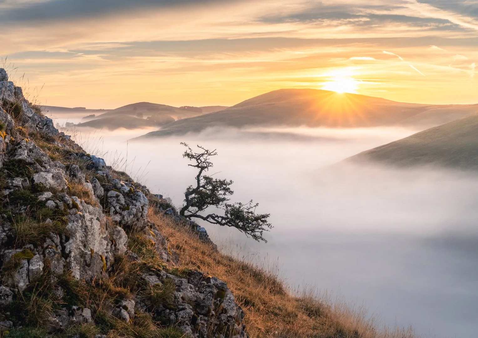 Hanging On William Hickie Print.jpg