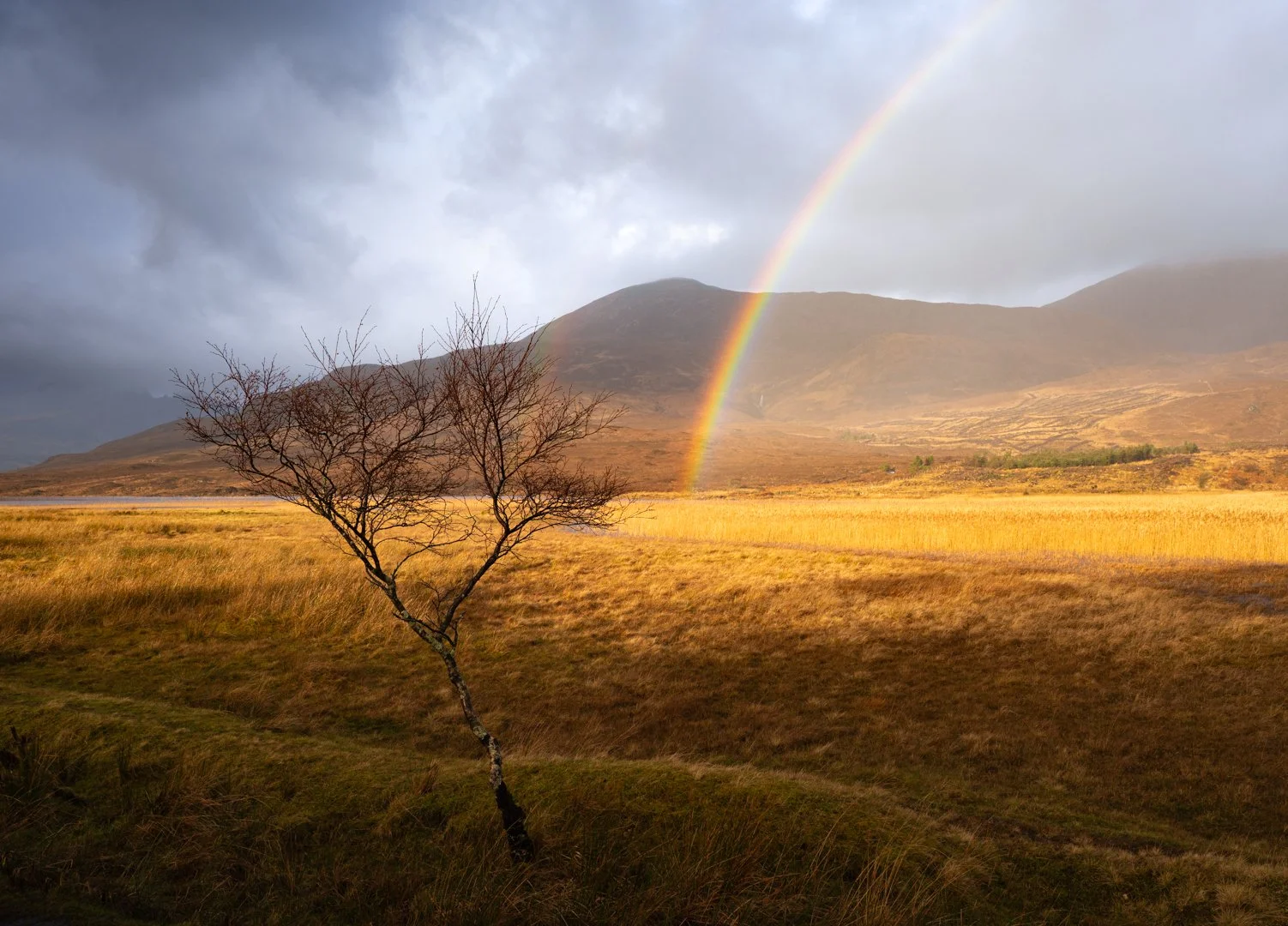 William Hickie Isle of Skye 12.jpg