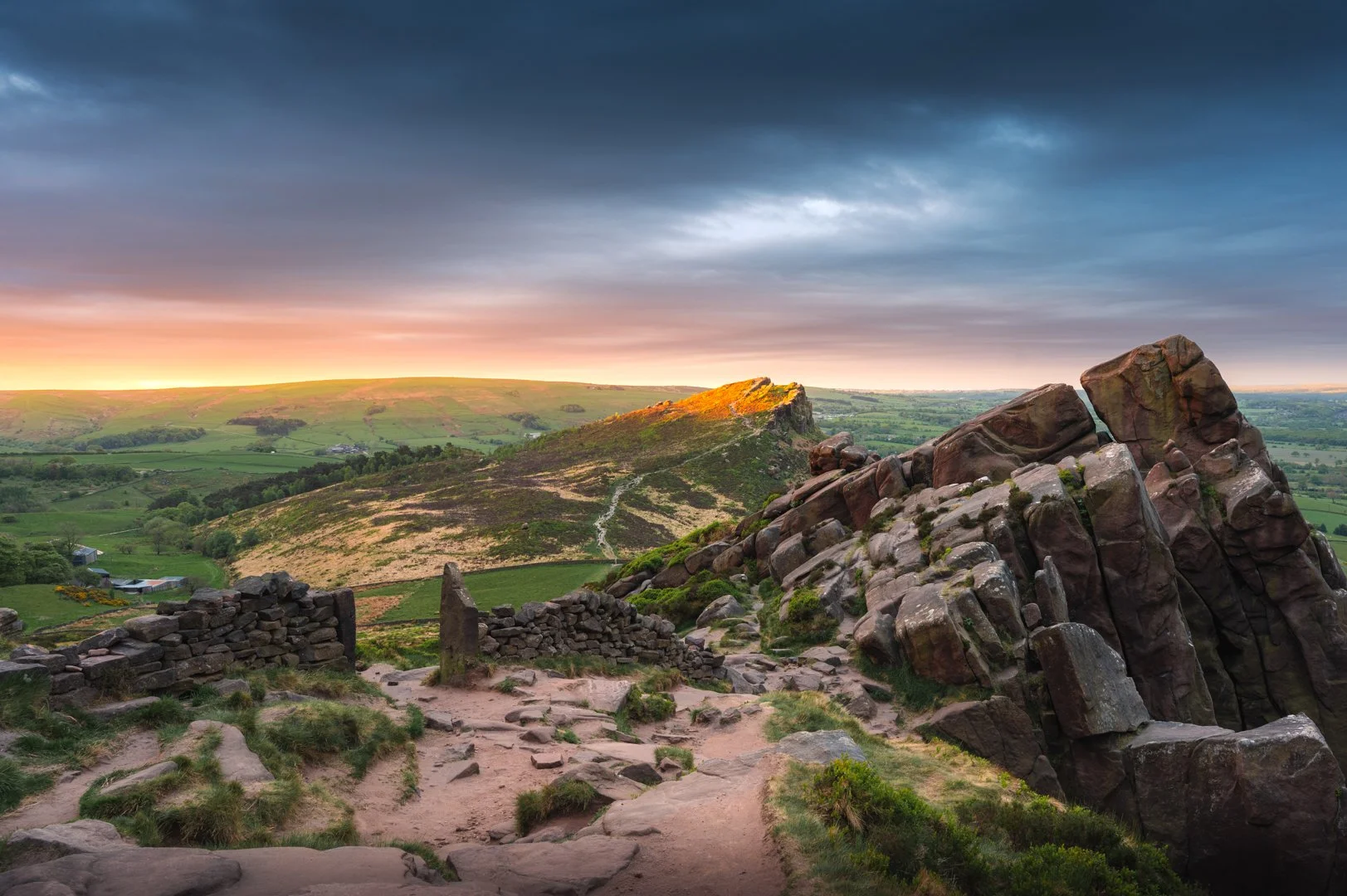 Roach Light William Hickie Print.jpg