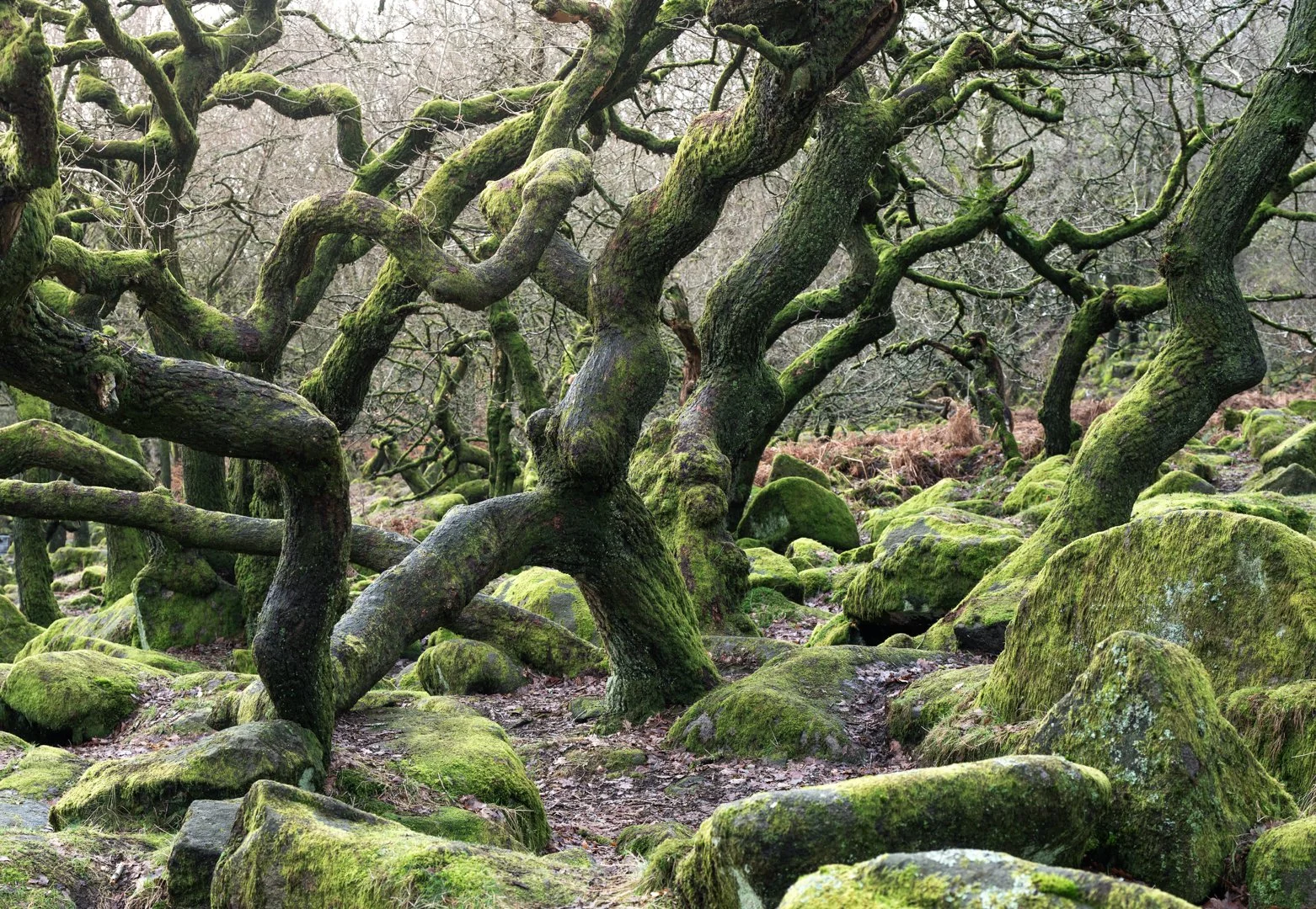 Craghoppers x William Hickie 5.jpg