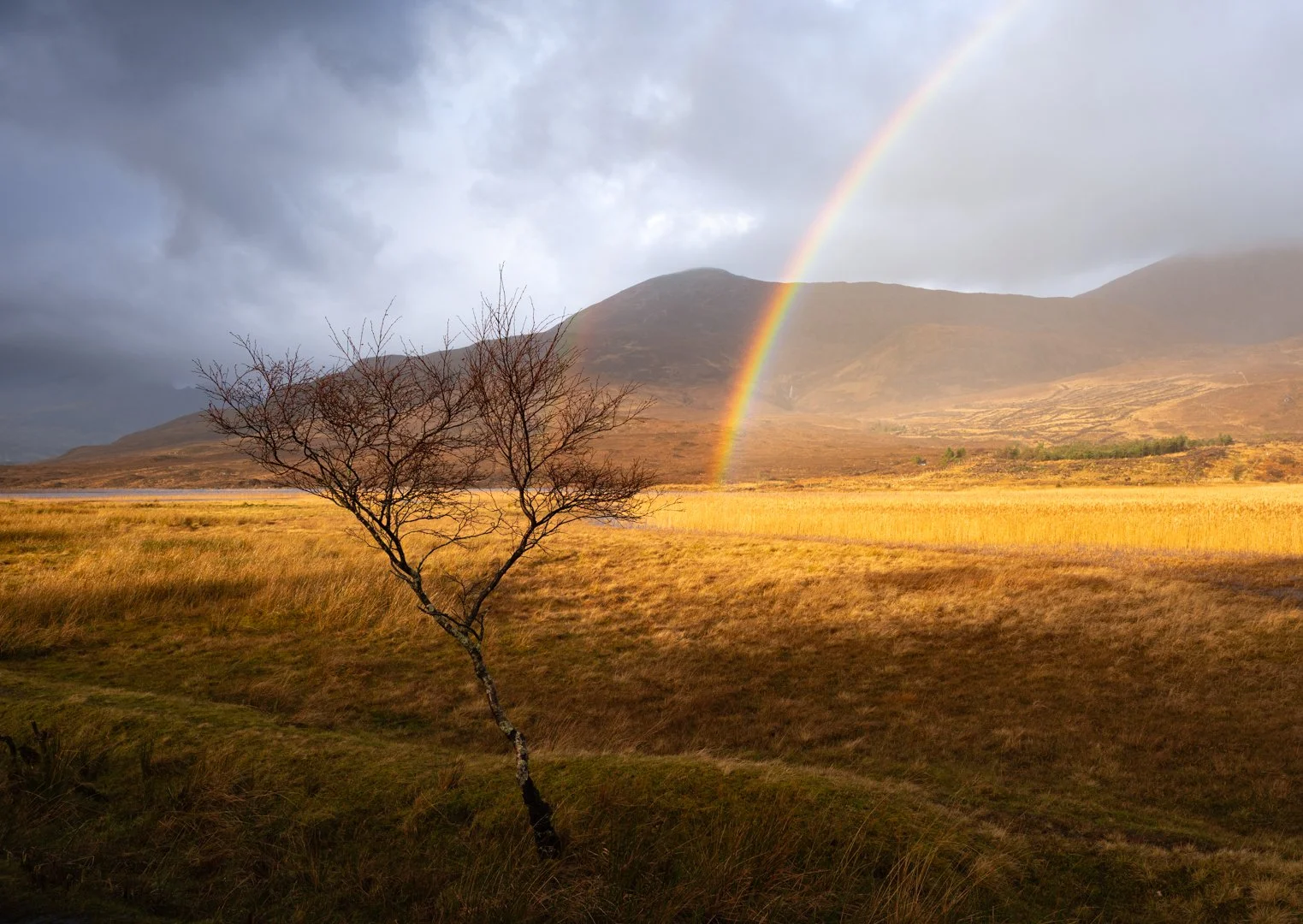 William Hickie Hassleblad competition2.jpg