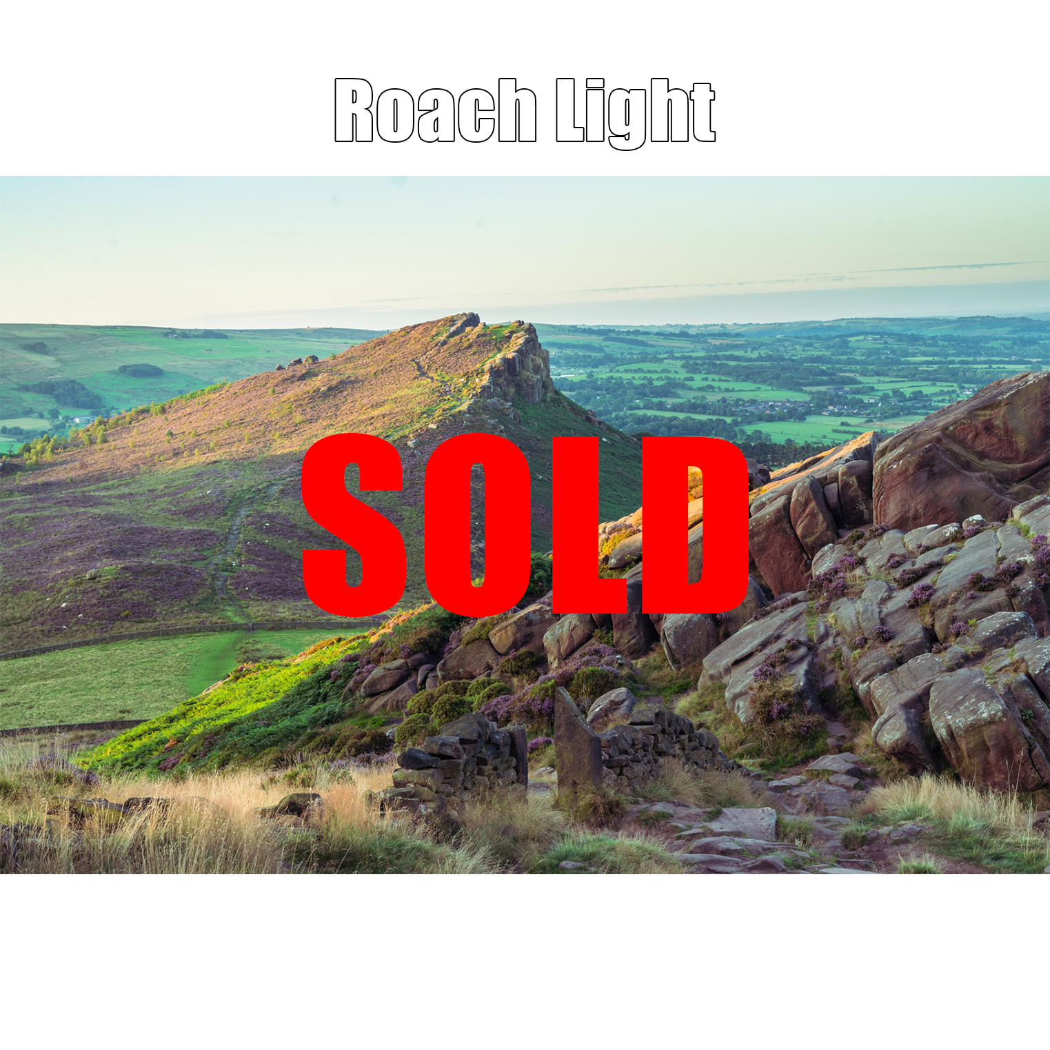 Roach Light Proof Print.png
