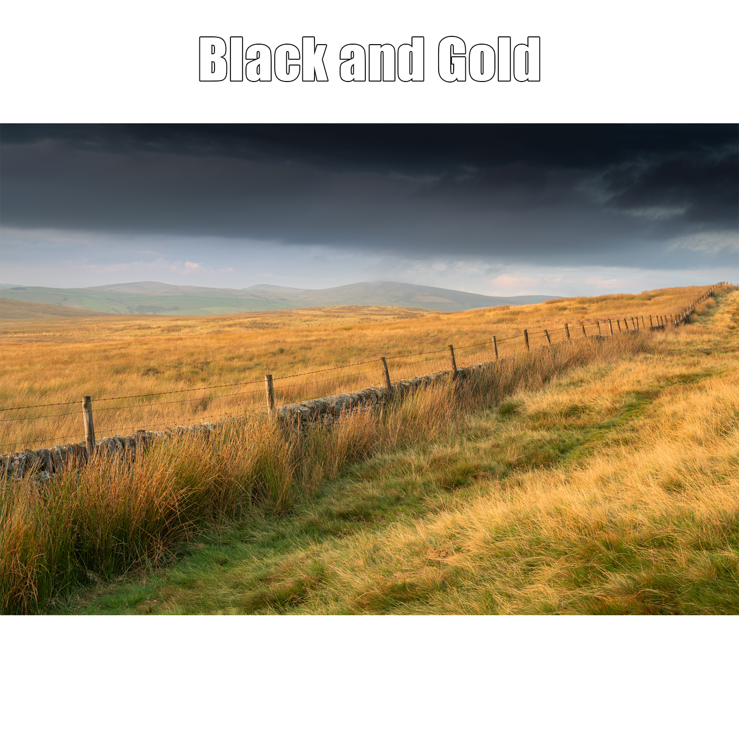 Black and Gold proof Print.png