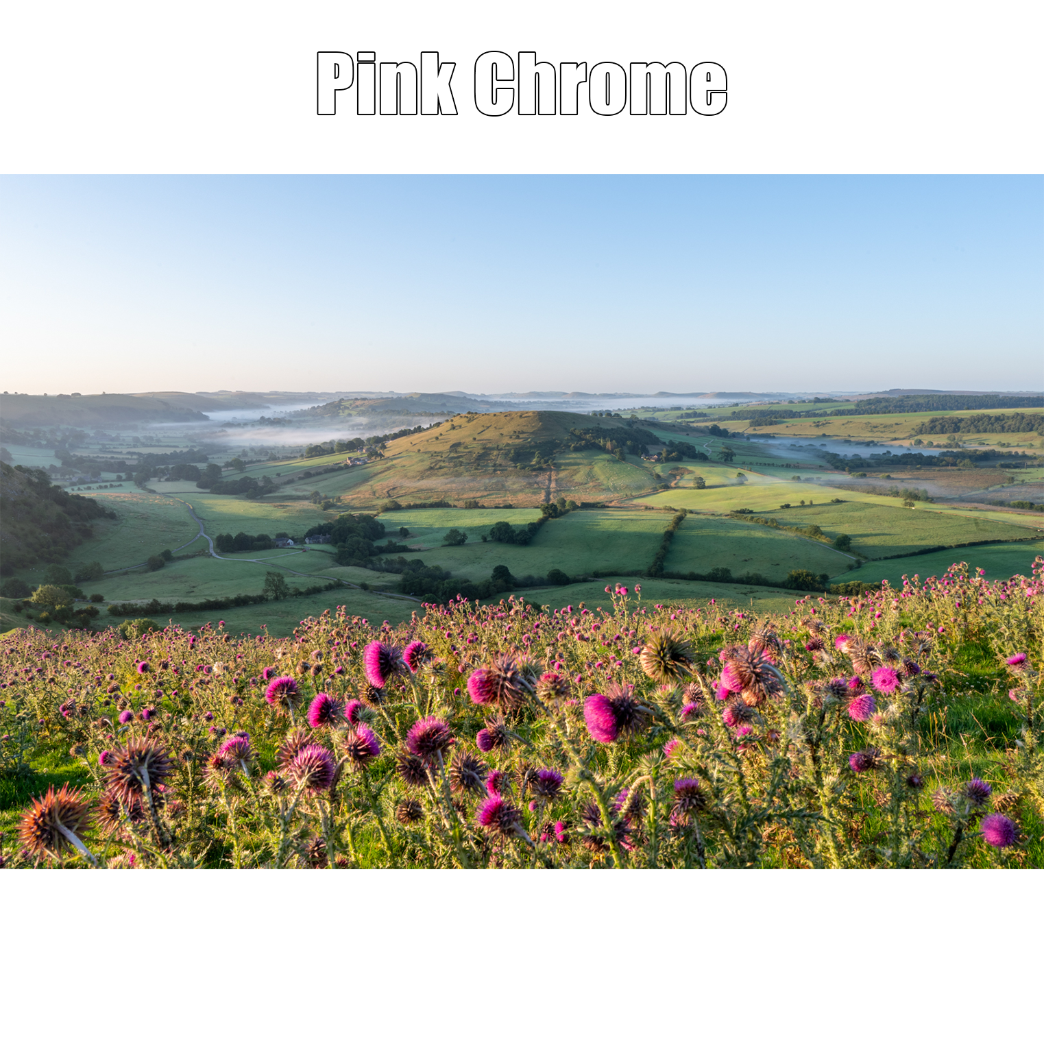 Pink Chrome proof Print.png
