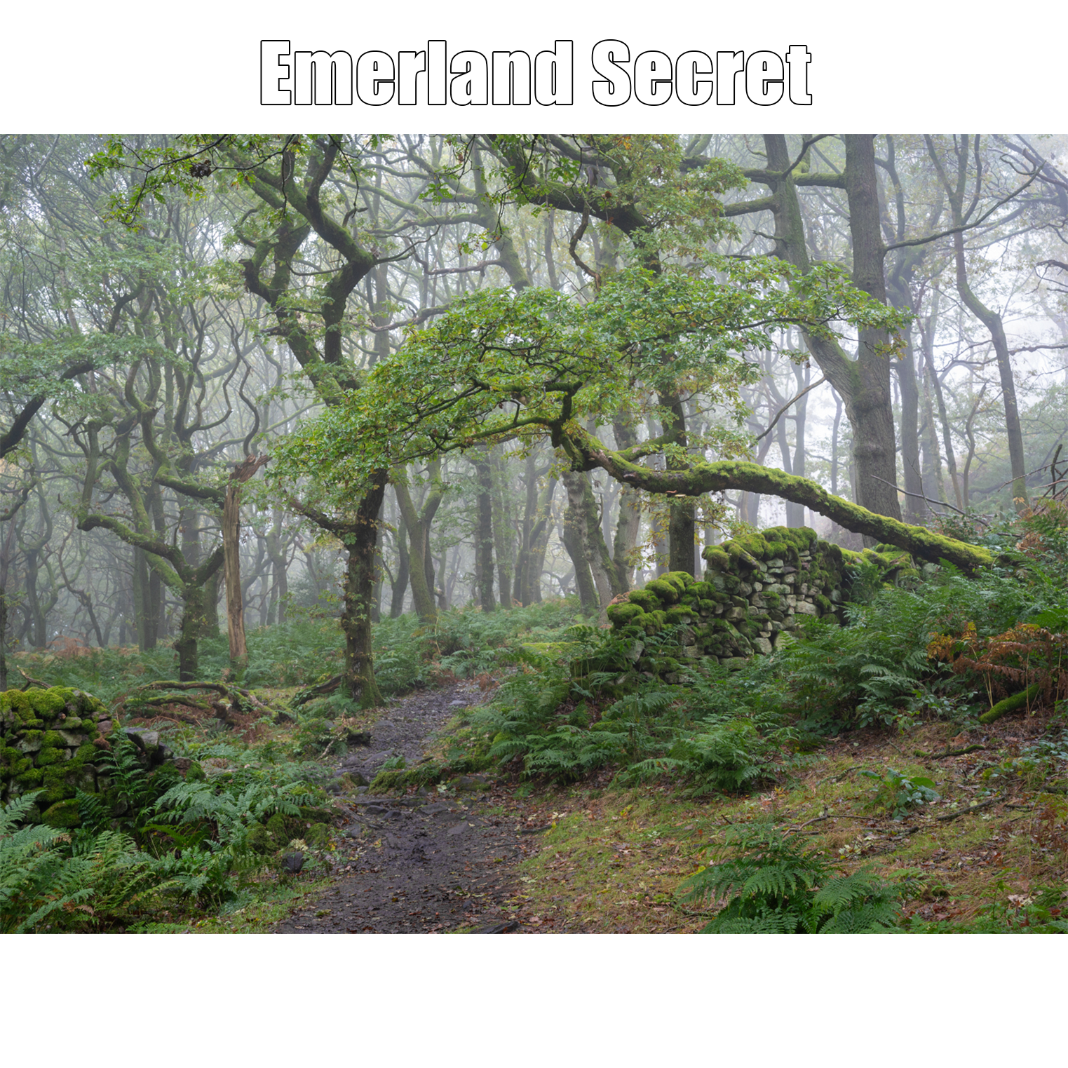 Emerald Secret Proof Print.png