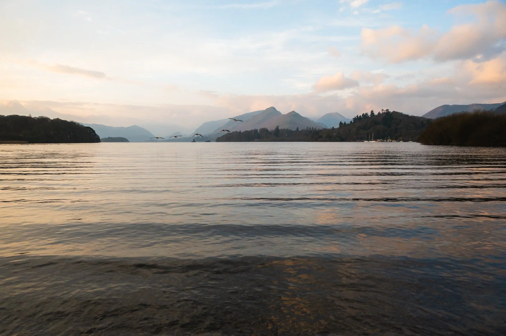 A scenic view of a calm lake with mountains in the background during sunset, with a flock of birds flying over the water, Lake District.