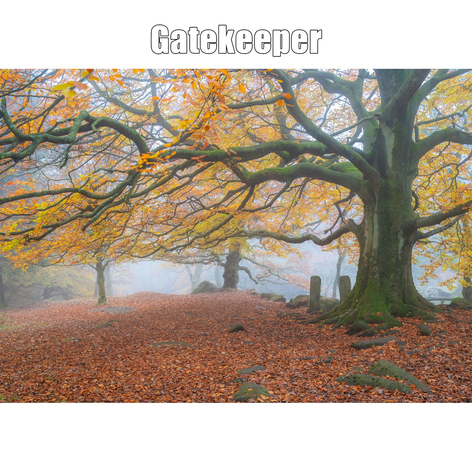 Gatekeeper Proof Print .png