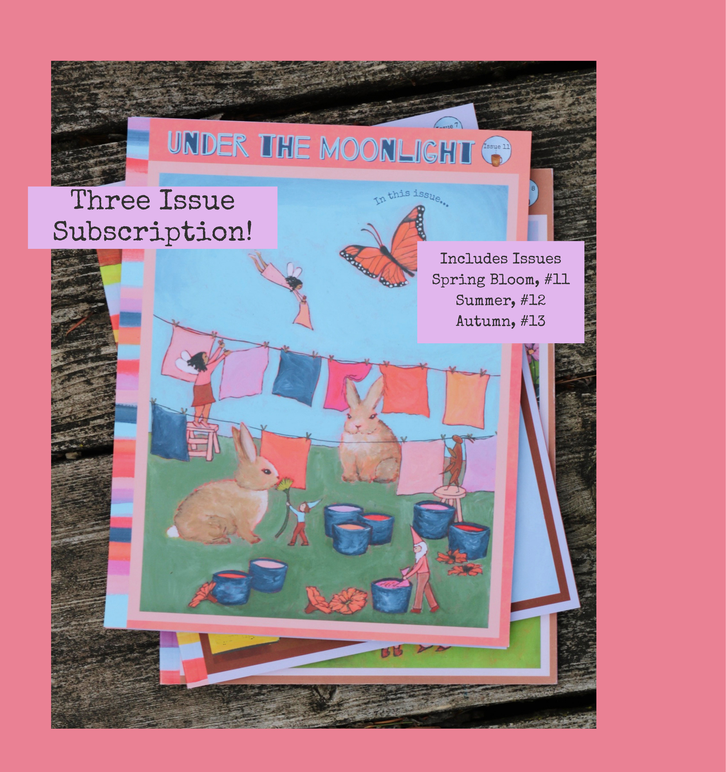 Three Issue Subscription!