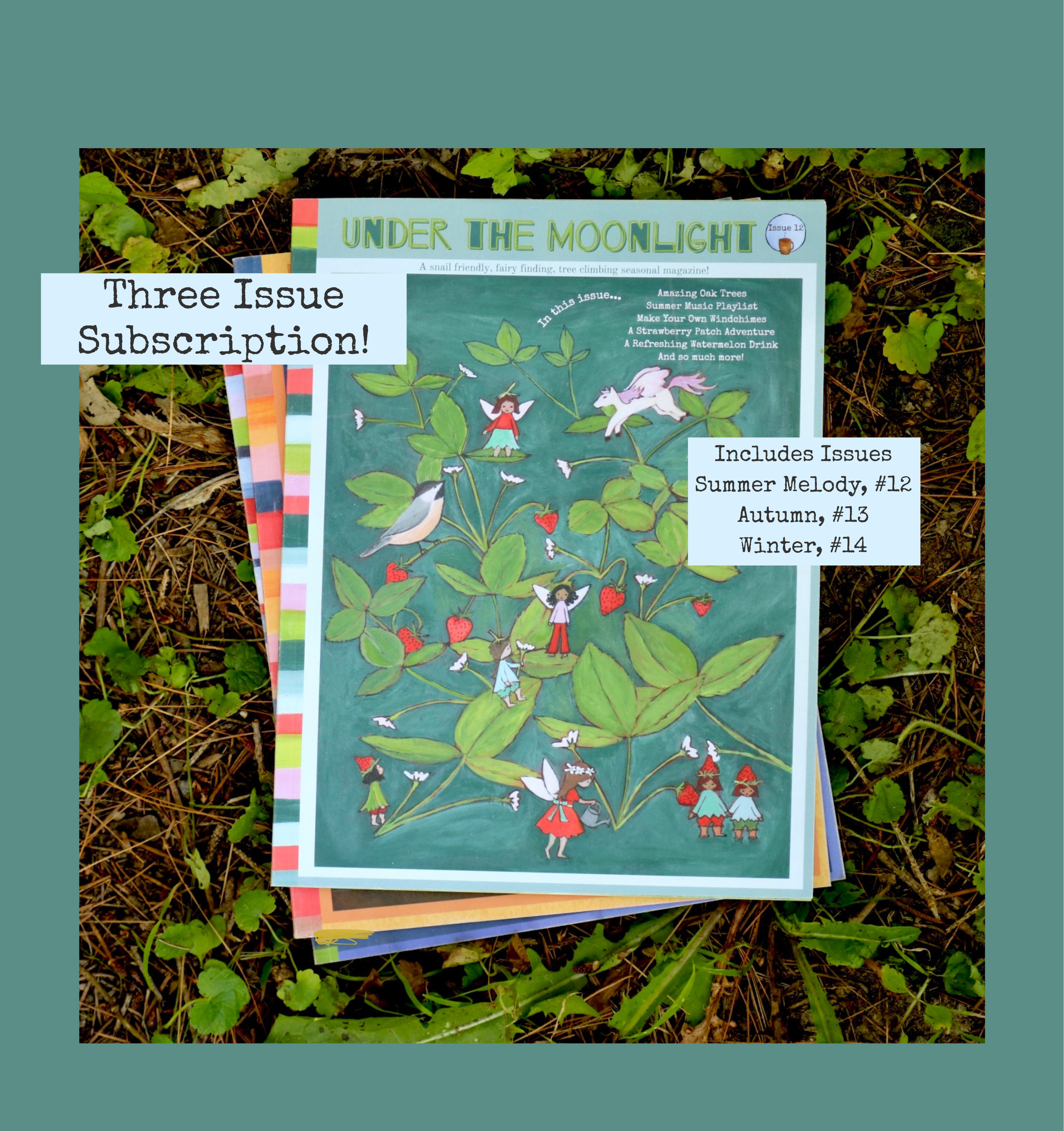 Three Issue Subscription!