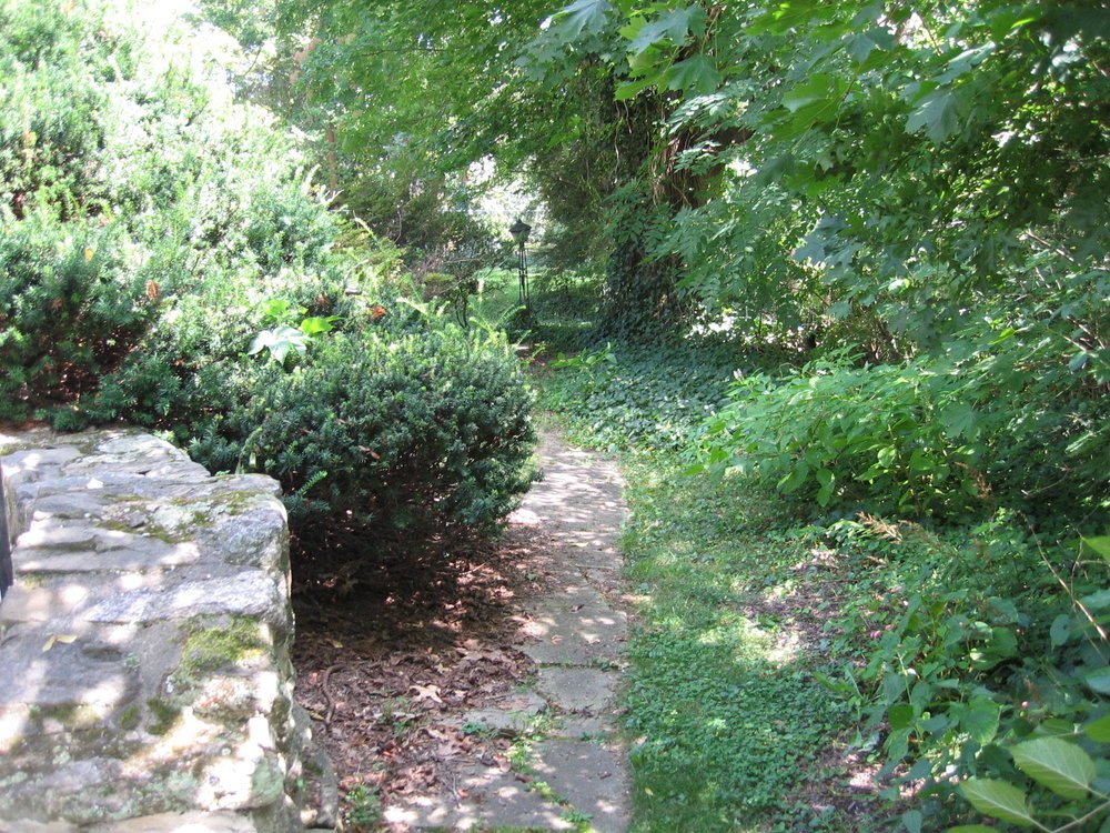 Before - Cracked walkways and overgrown yews
