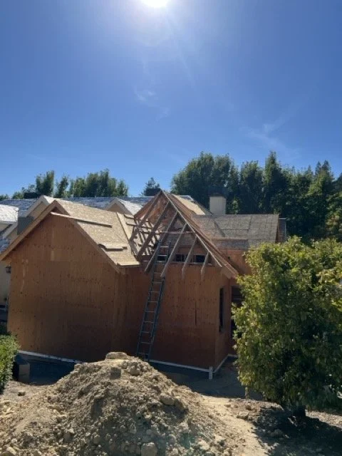 IMG_5047 Medium.jpeg