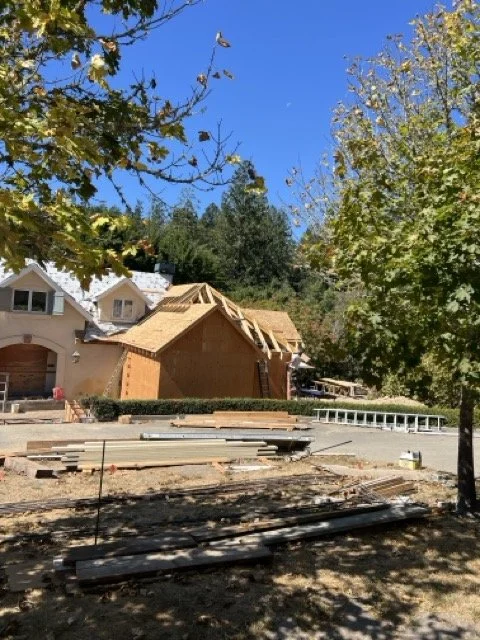 IMG_5052 Medium.jpeg