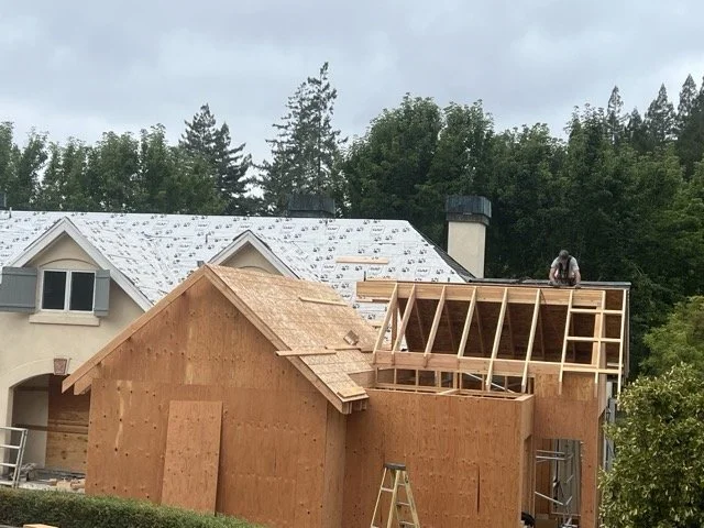 IMG_5010 Medium.jpeg