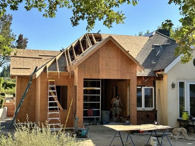 IMG_4778 Medium.jpeg