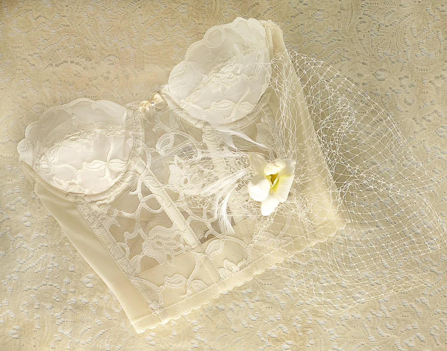 pcook-lace-bustier.jpg