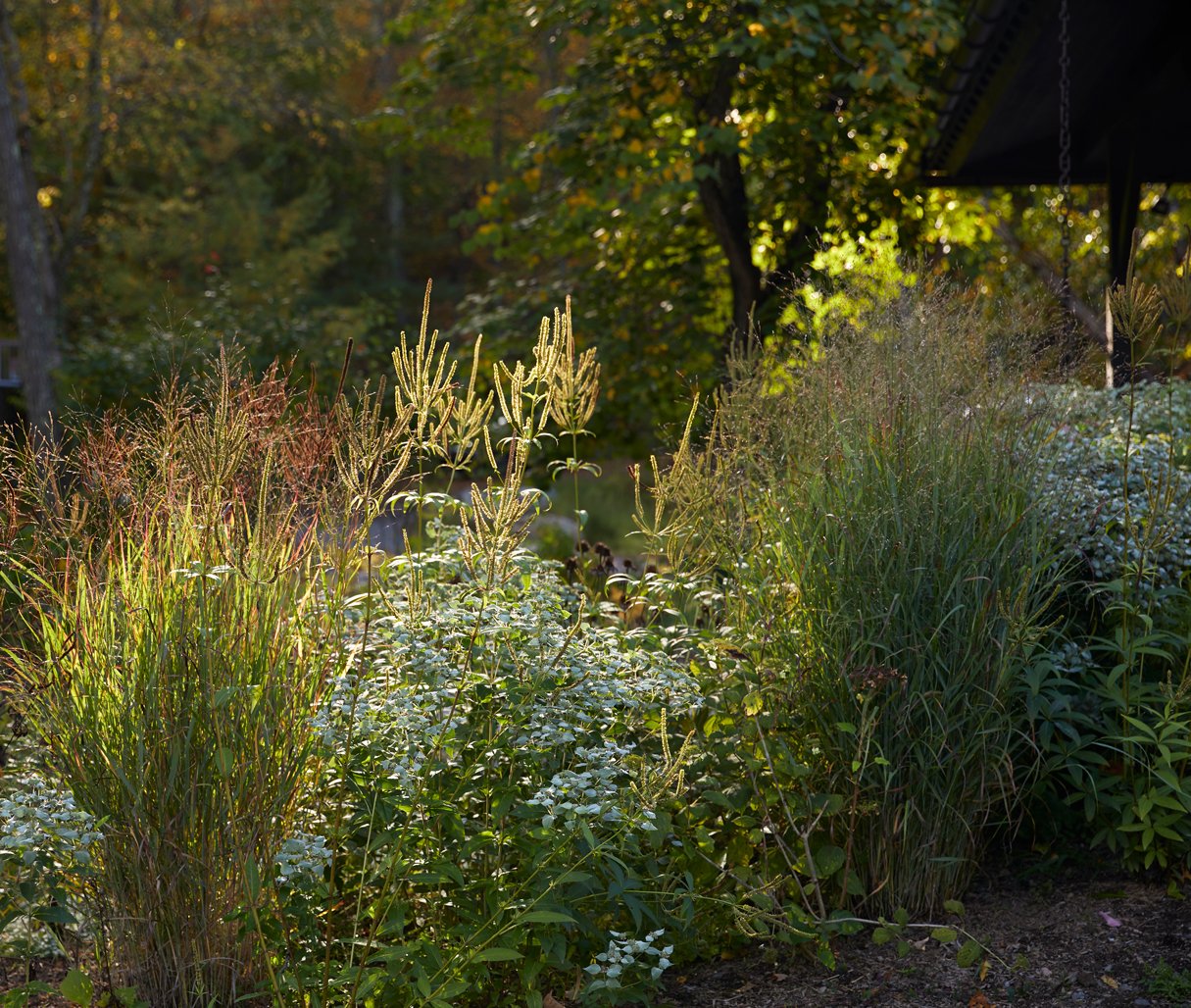 46Cragswood-Gardens-5265-1_v1.jpg