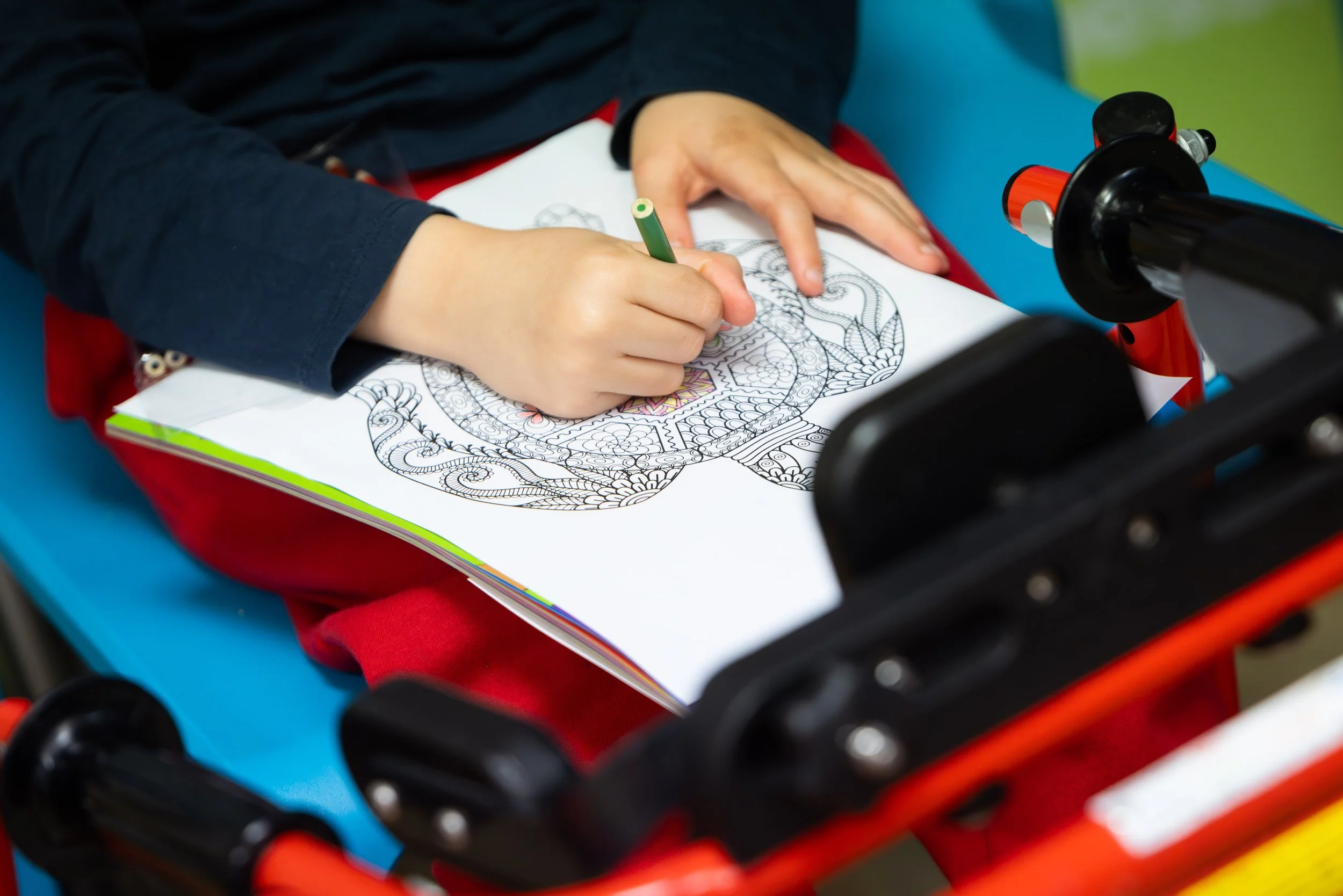 A child colouring in a picture of a turtle.