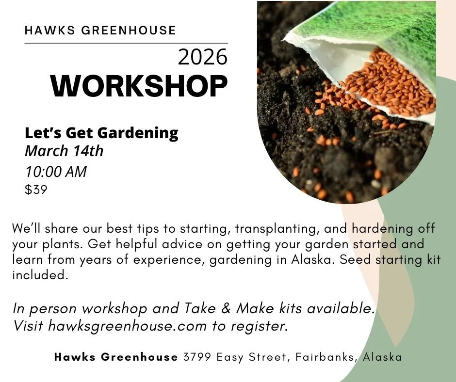 Workshops 2024 (1).jpg